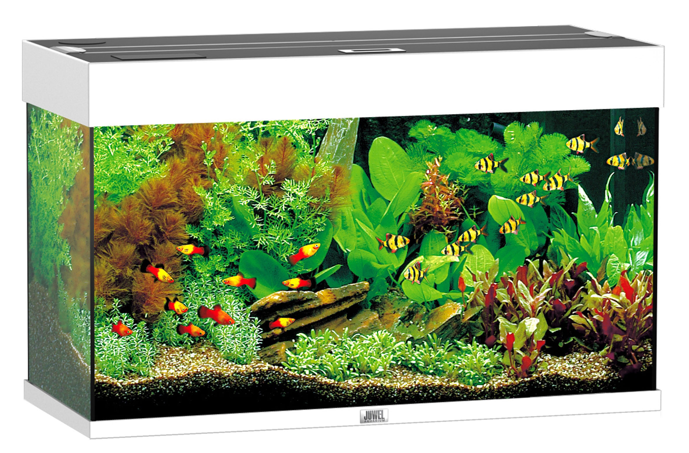 Juwel Aquarium Rio 125, blanc Juwel Aquarium Rio 125, blanc
