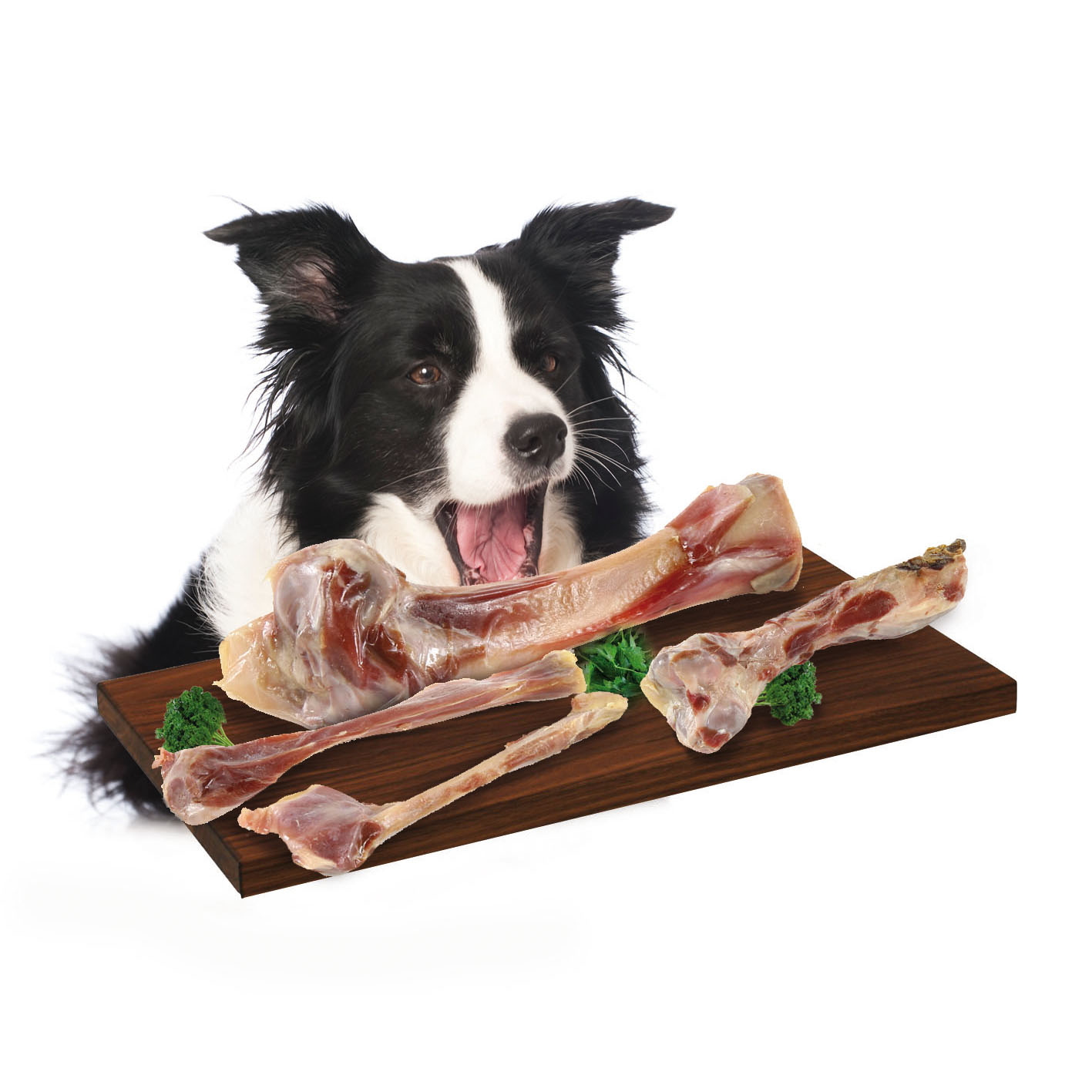 Louis Metzgertipp Schinkenknochen