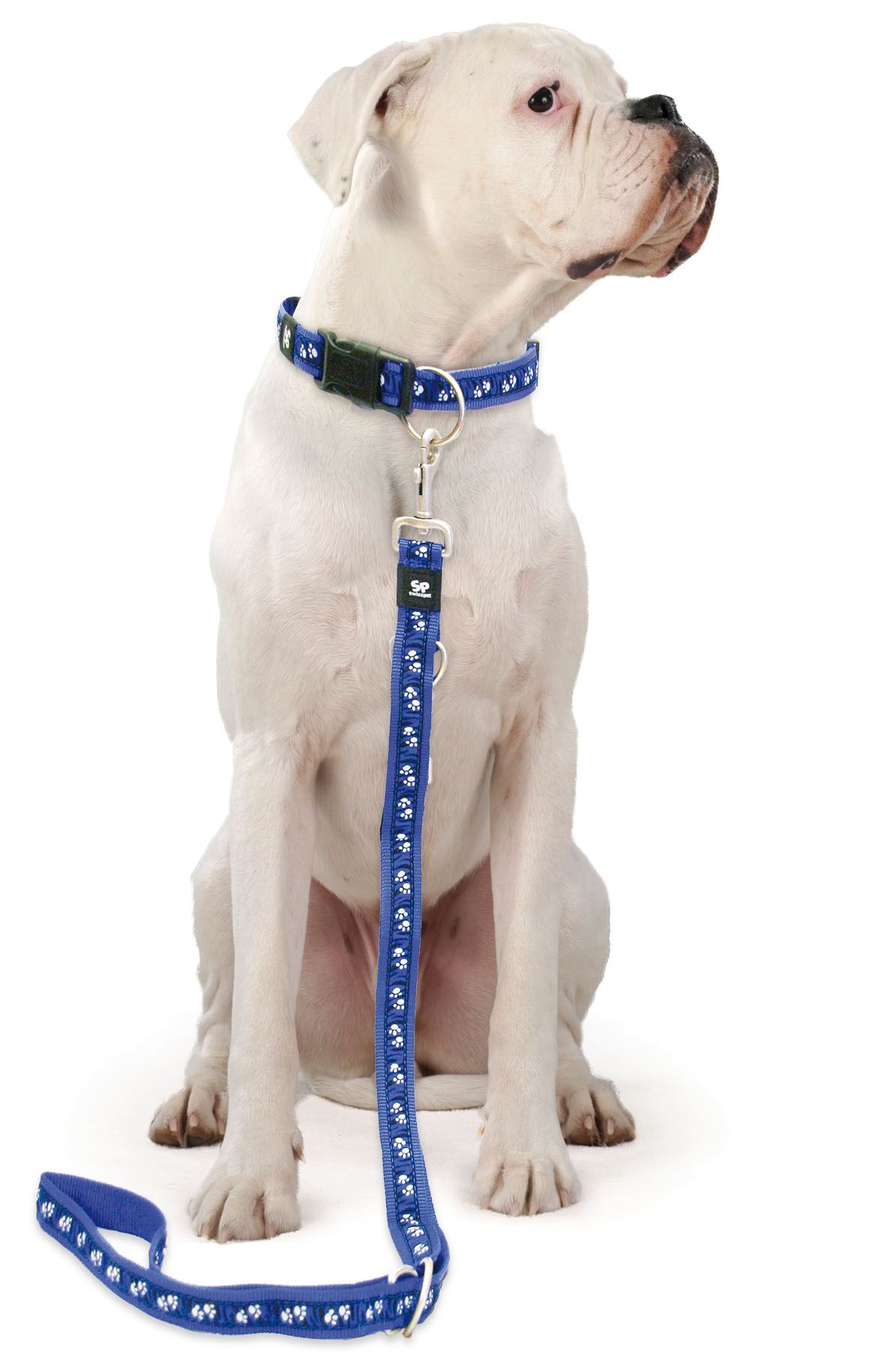 swisspet DoggyLine collier, bleu, 10mm/20-33cm