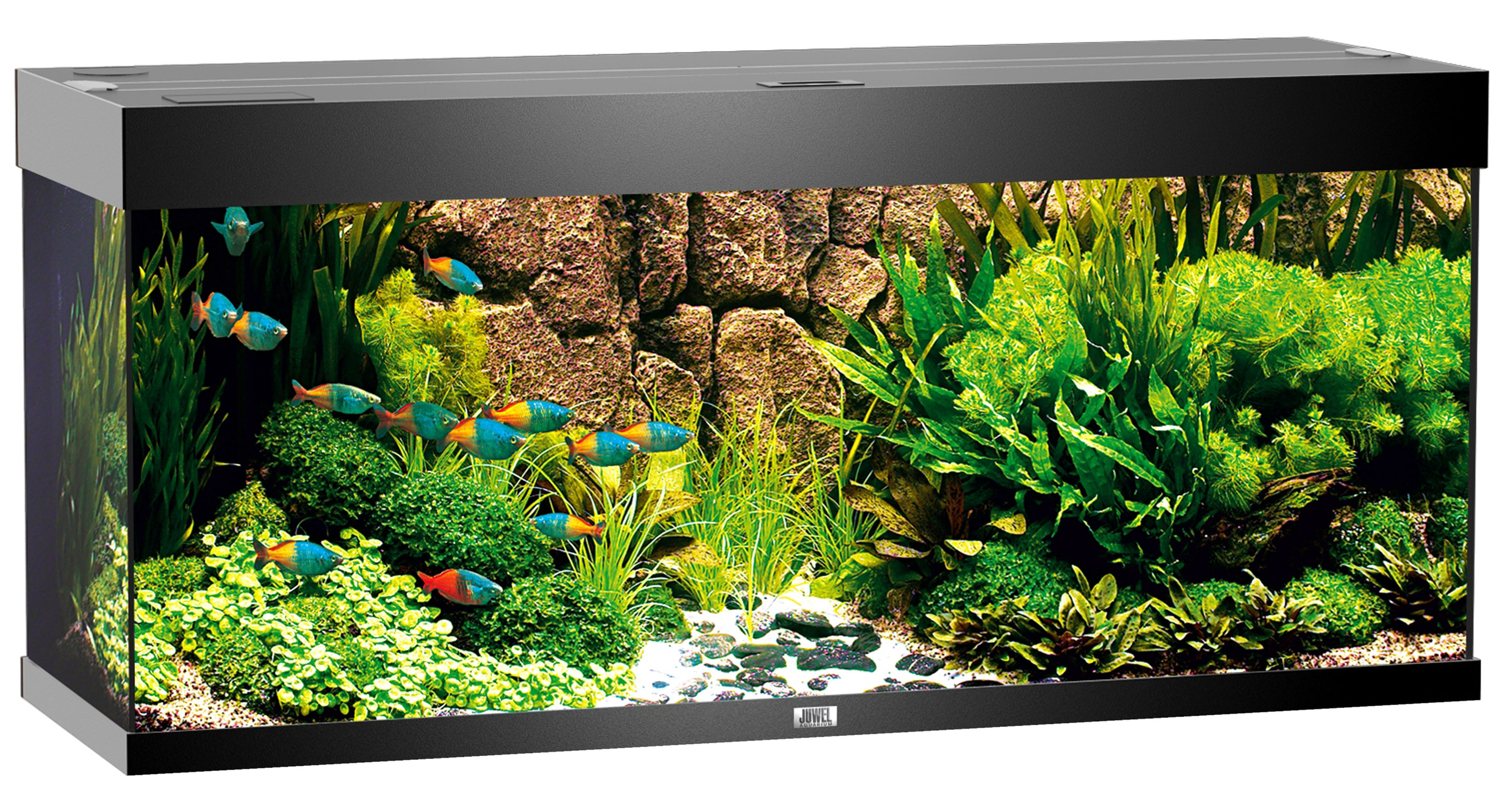 Juwel Aquarium Rio 240, schwarz