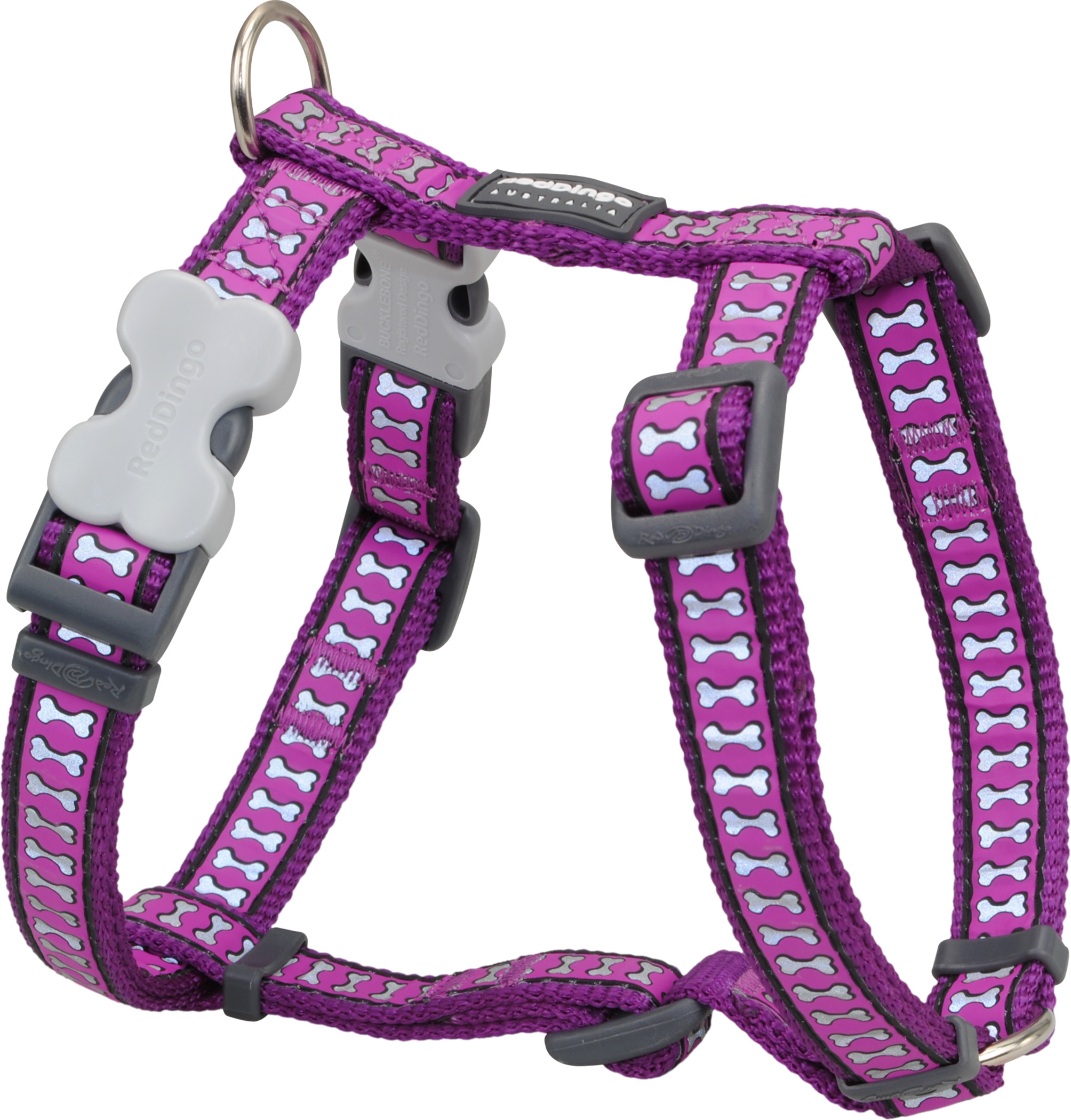 RedDingo Geschirr Reflective Bones Purple, S: 15mm, Hals 30-48cm, Körper 36-54cm