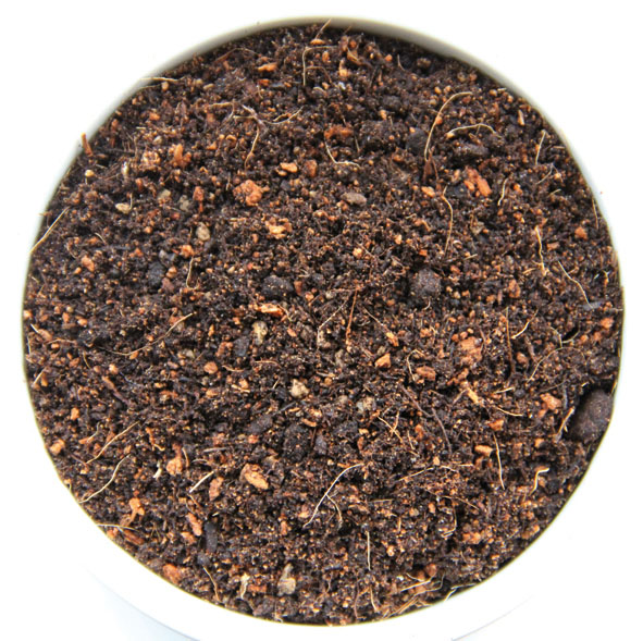 Amazonas Jungle Beeding, sol tropical pour terrarium