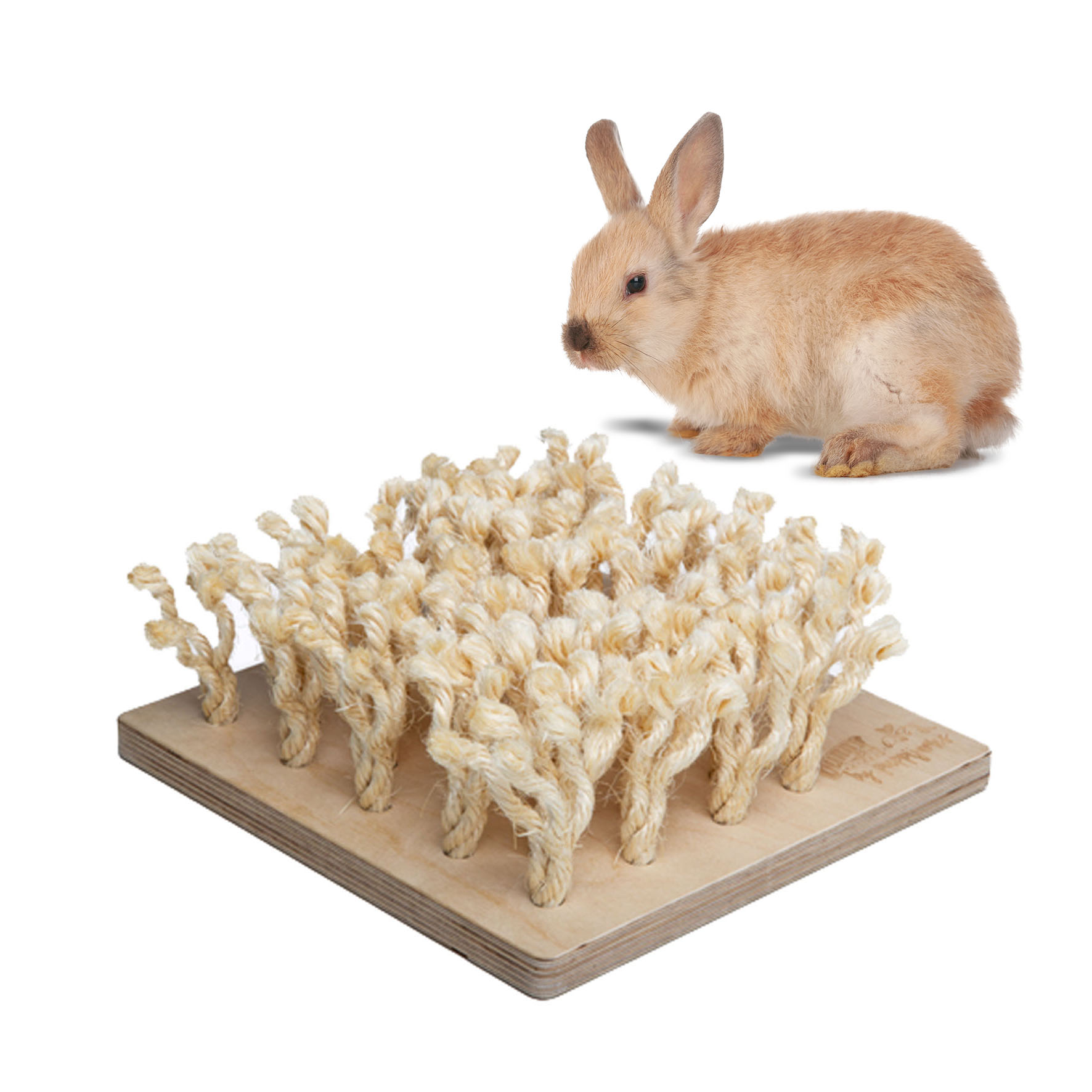 Bunny Schnüffelbrett