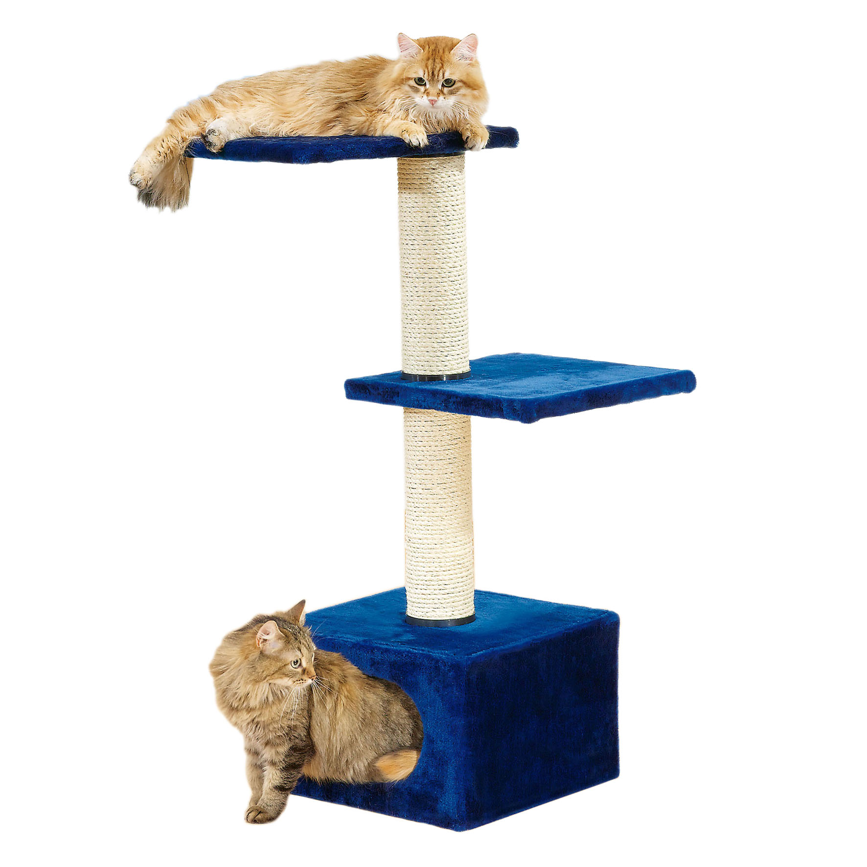 swisspet Kratzbaum Quasimo, dunkelblau