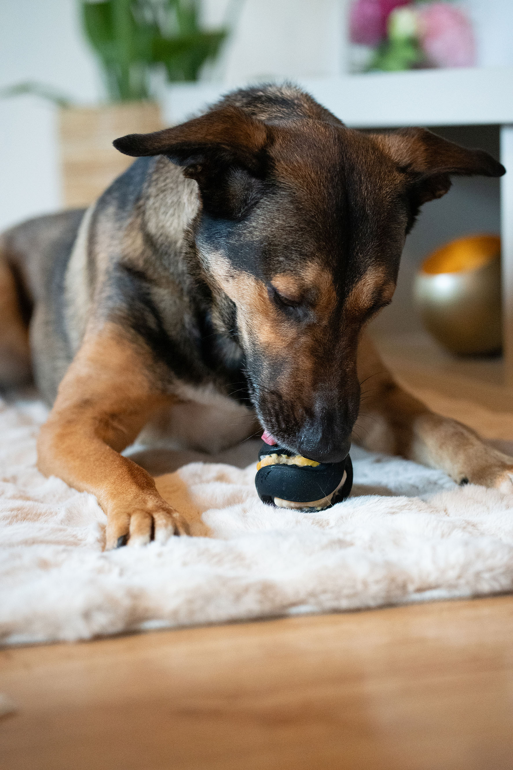 Zeus Chewchasers Ball, D=7.6cm, schwarz