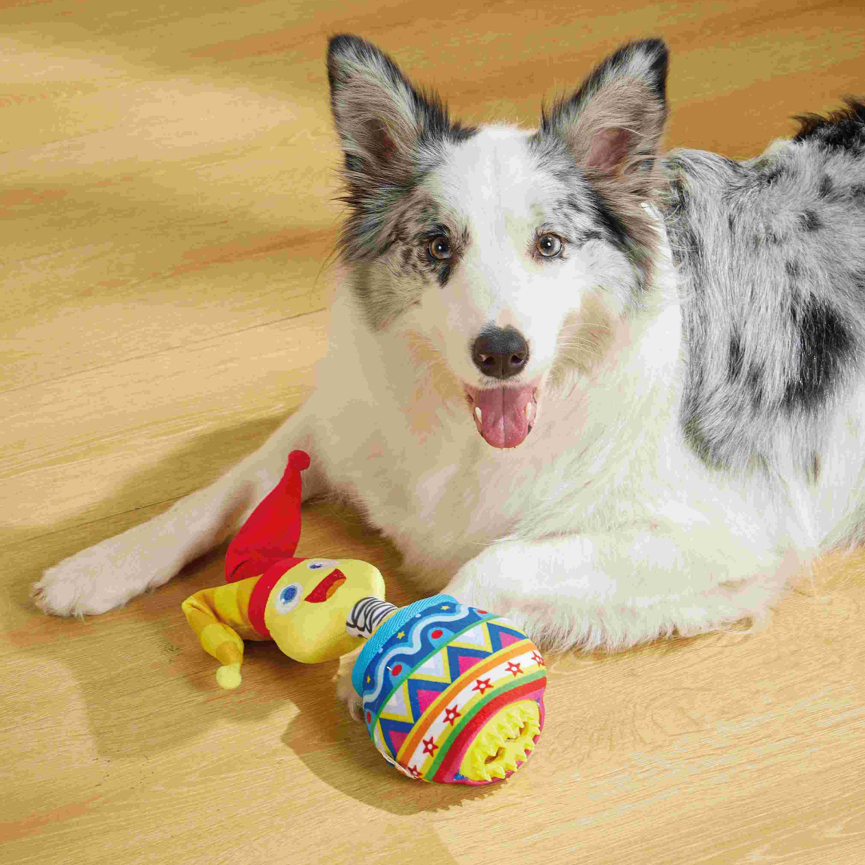 M-Pets Hundespielzeug Jester, 10,5 x 7 x 26,5 cm