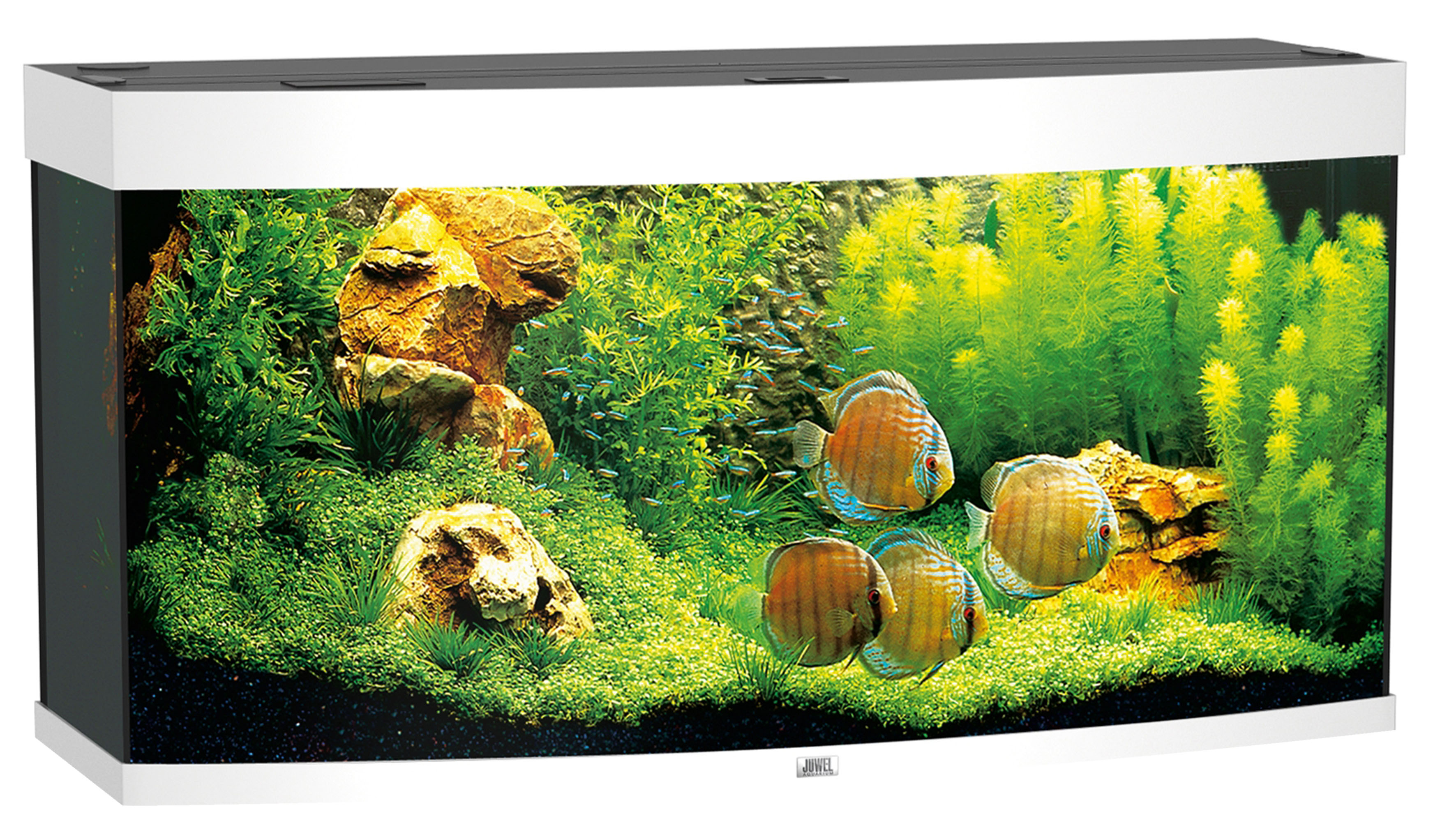 Juwel Aquarium Vision 260, weiss