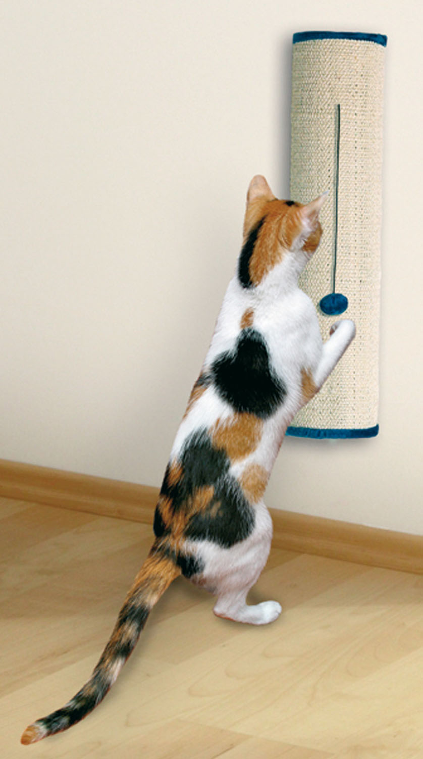swisspet Kratzbrett mit Spielzeug