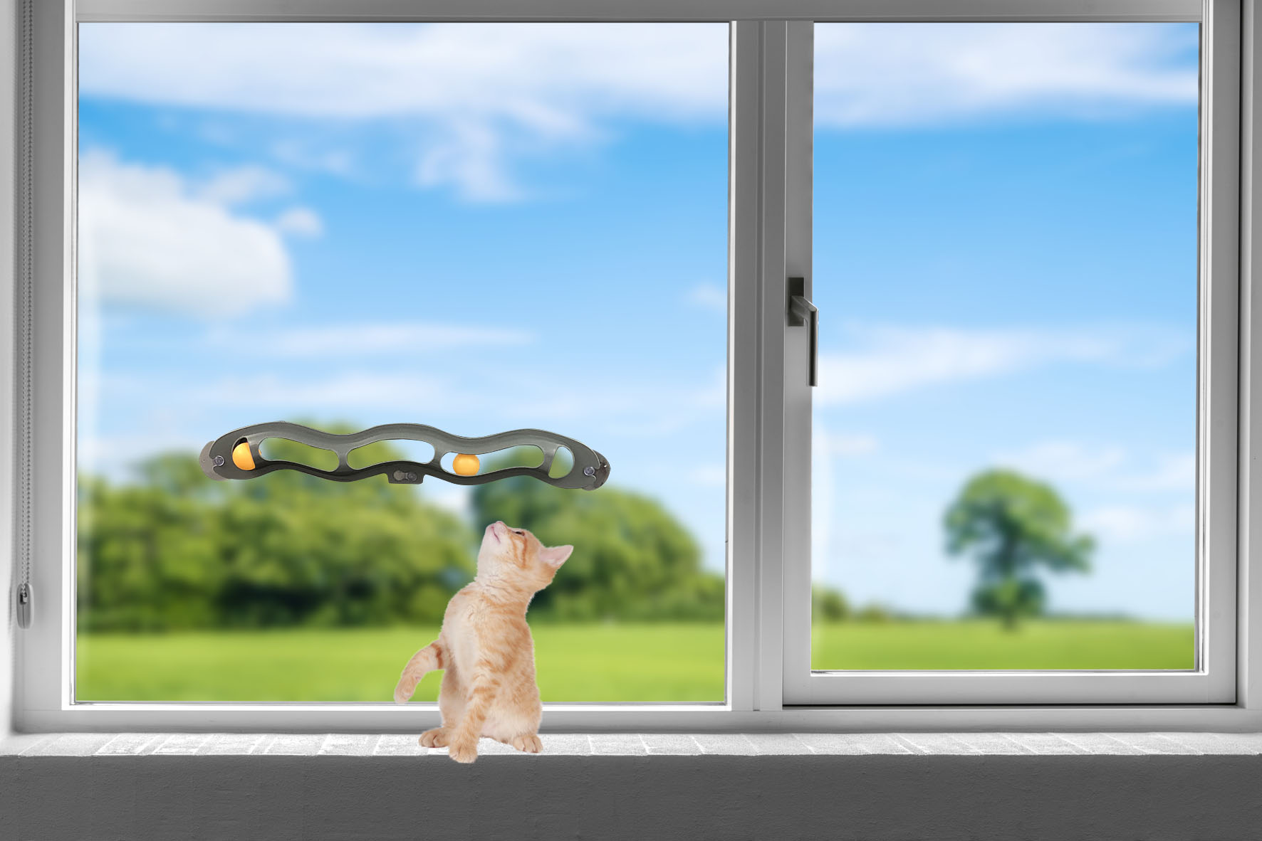 swisspet Katzenspielbahn Window, 55x6.5x4cm