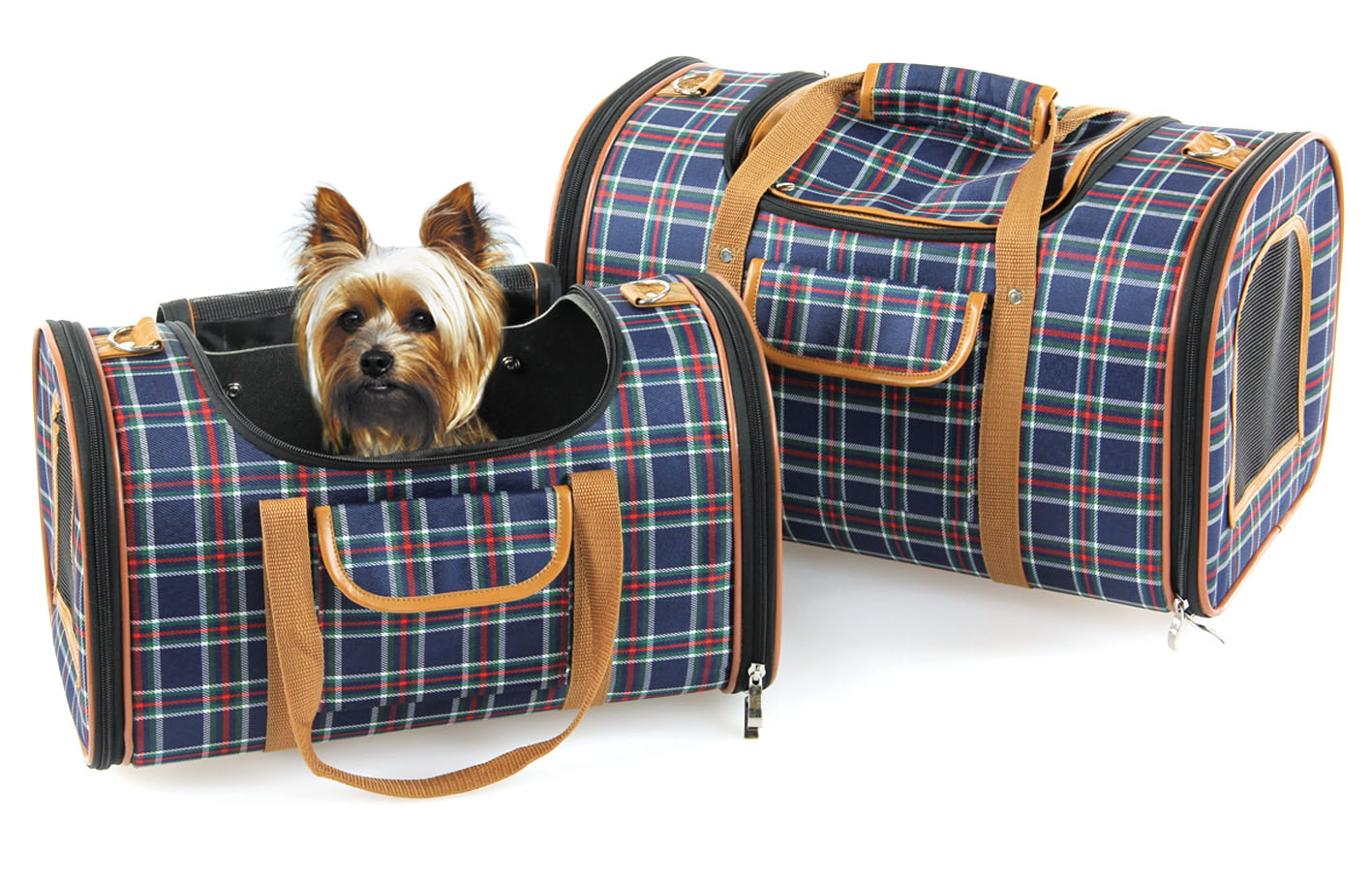 swisspet Hunde- & Katzentragtasche Bristol S, 40x22x23cm