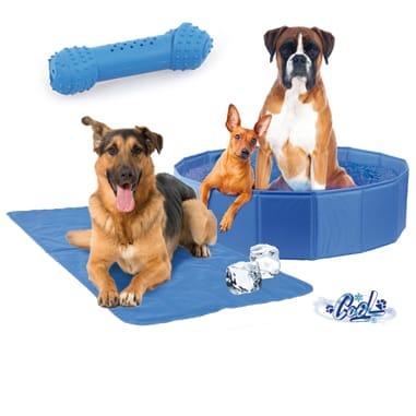 Hundepools & Kühlmatten