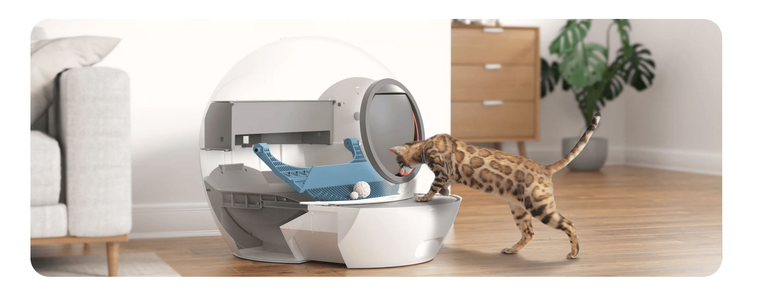 Selbstreinigende Katzenhaustoilette CLB1