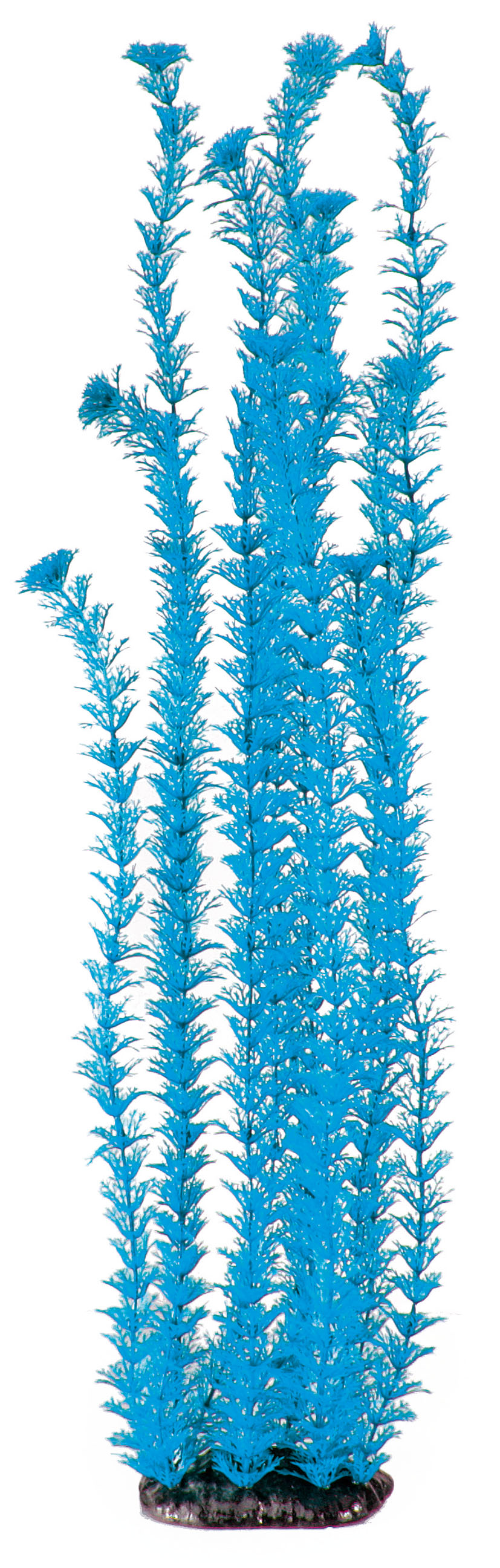 Amazonas Fantasy Plant Plant LP blau 30cm