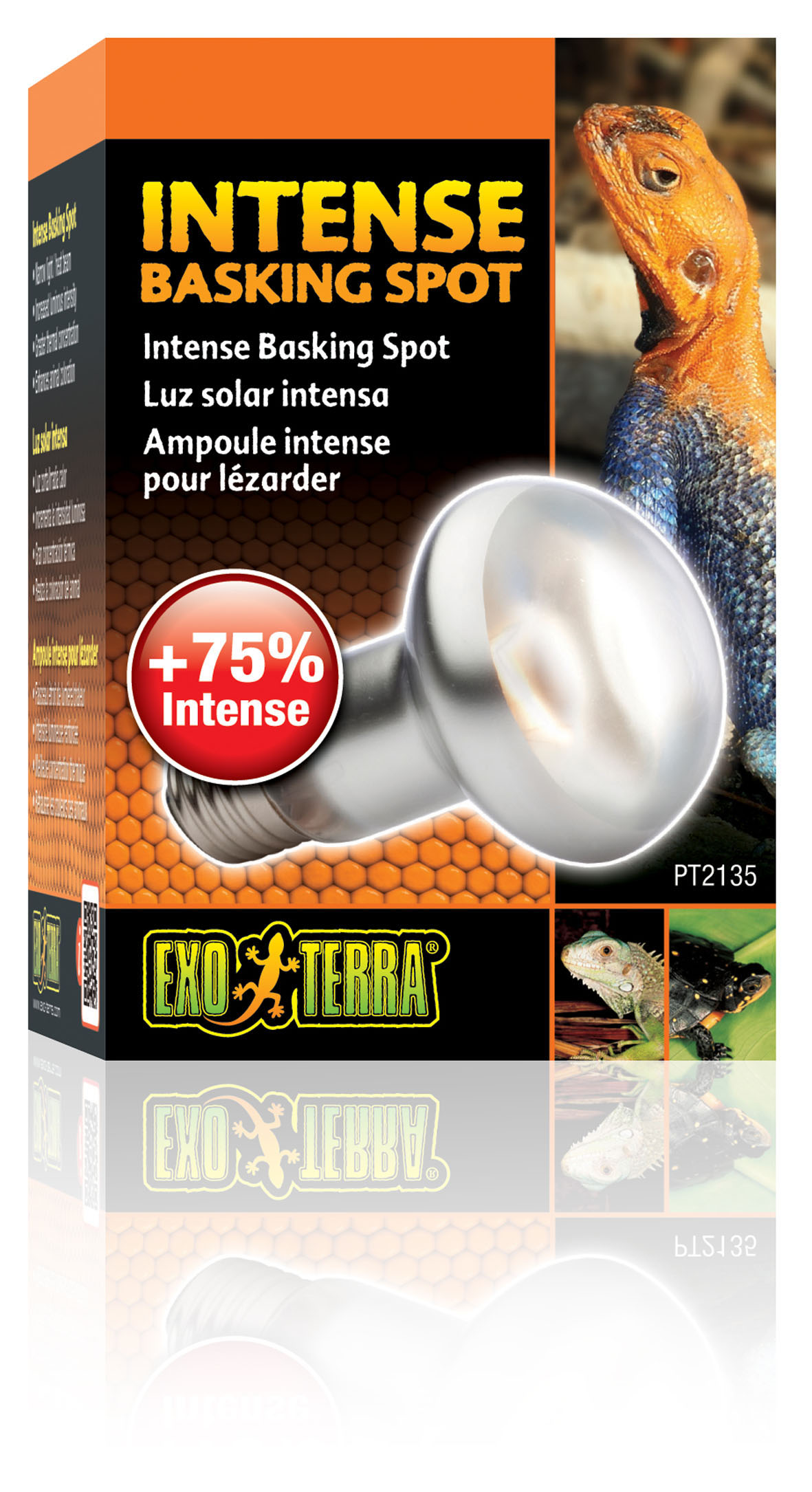 Exo Terra Intense Basking Spot