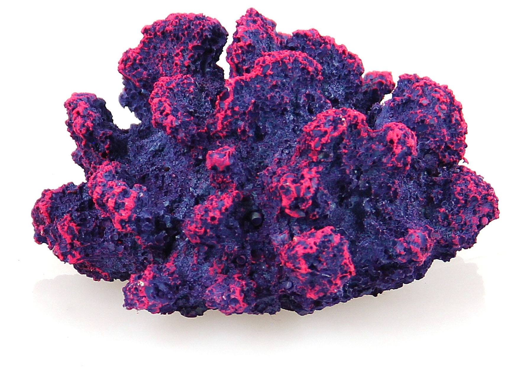 Koralle violett KP015-2-085A, 9x9x5cm