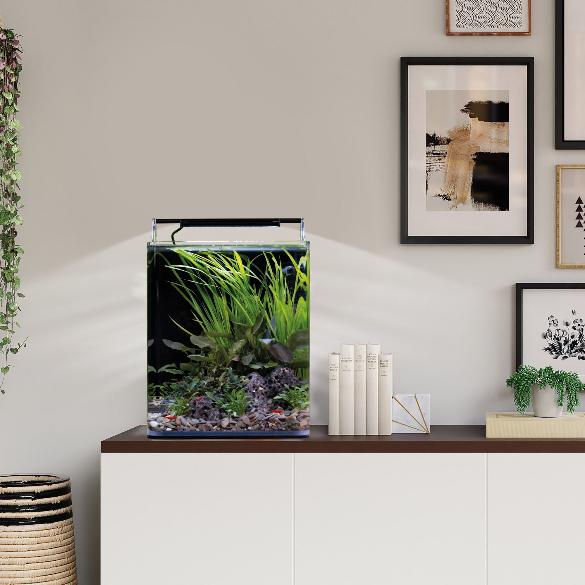 Dennerle Nano Cube Basic, 20L