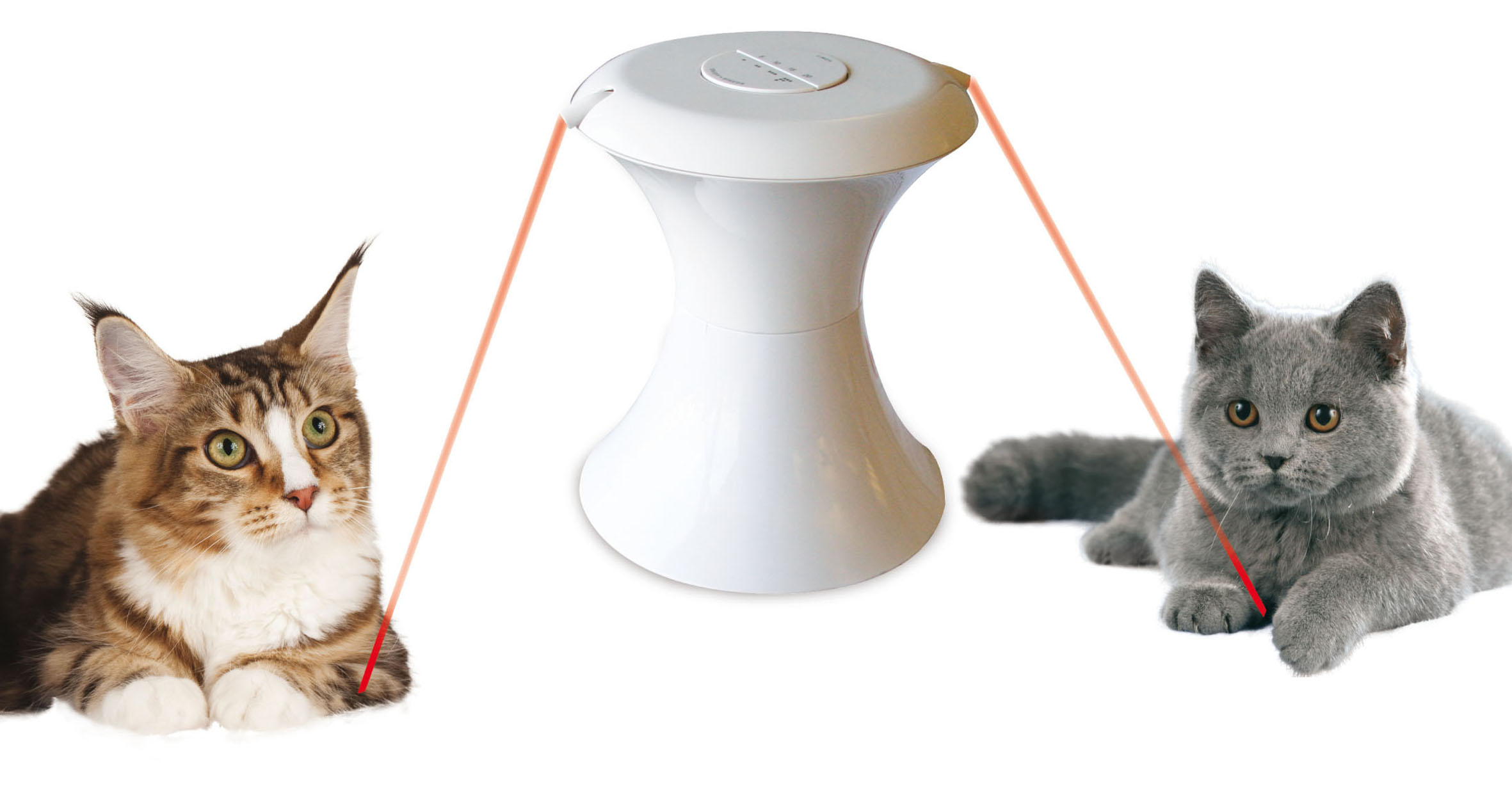 swisspet Gioco per gatti Duo-Puntatore laser