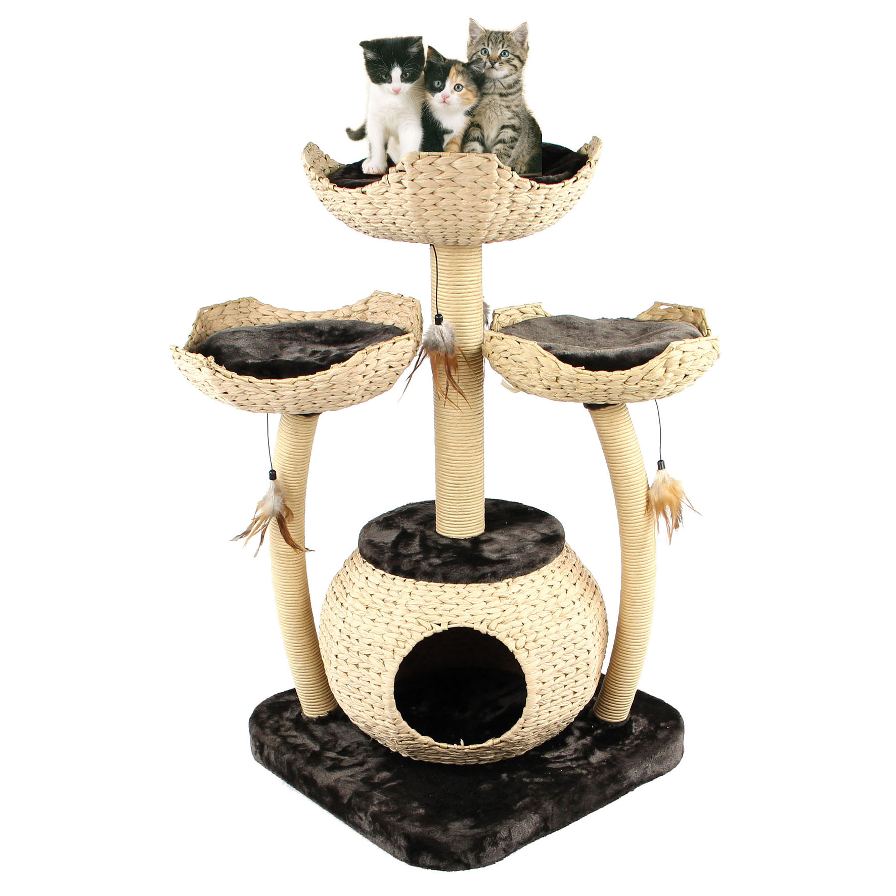 swisspet Kratzbaum Treelife Family