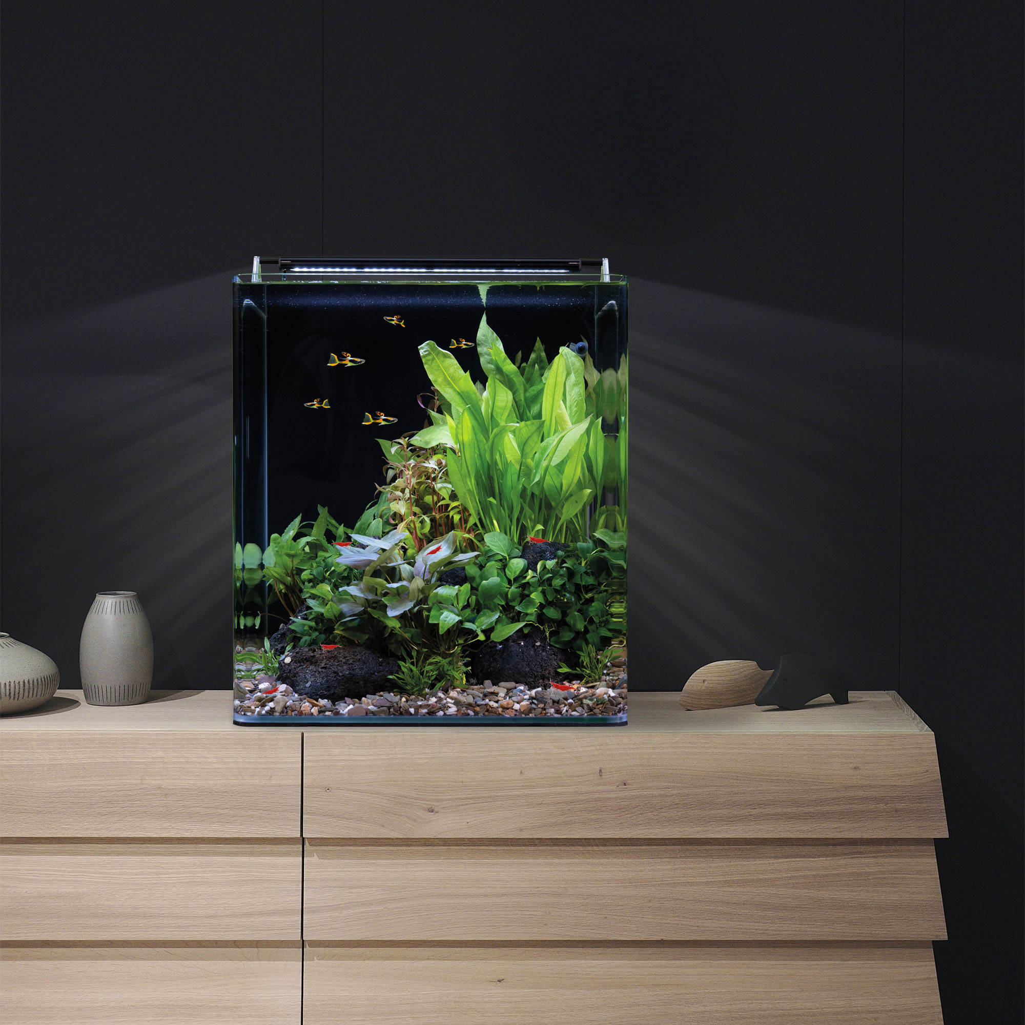 Dennerle Nano Cube Basic, 60 L