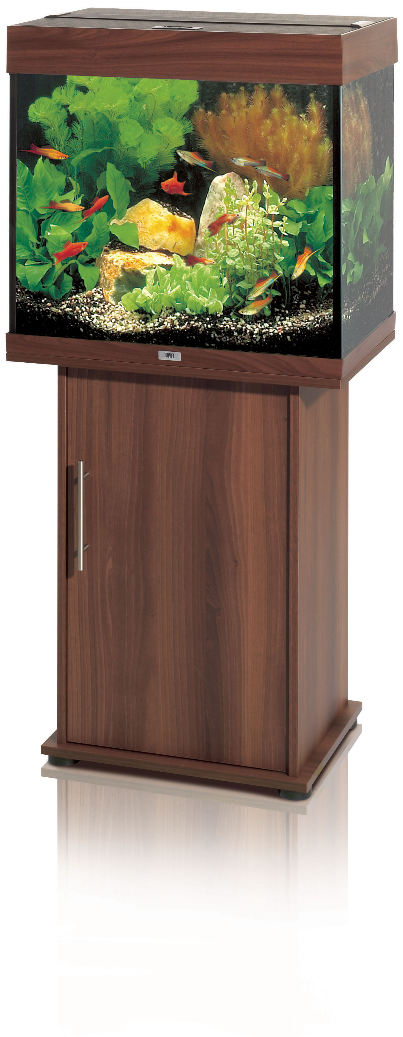 Juwel Aquarium Lido 120 Kombination, buche