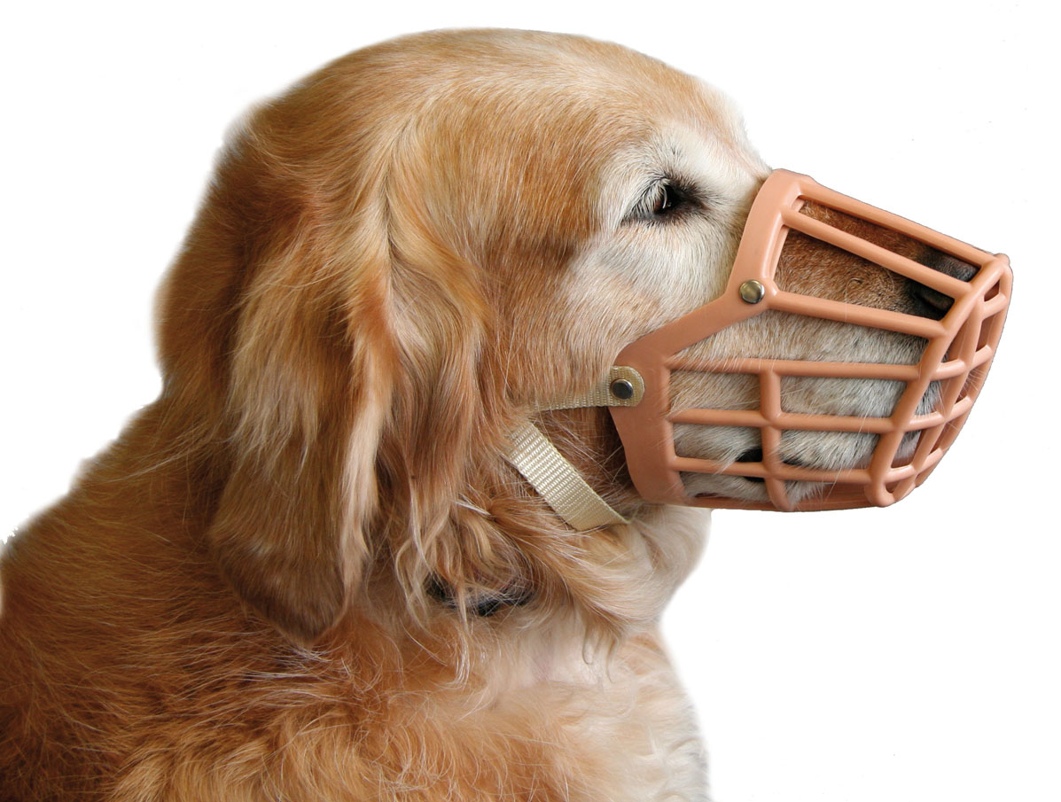 swisspet muselières en plastique