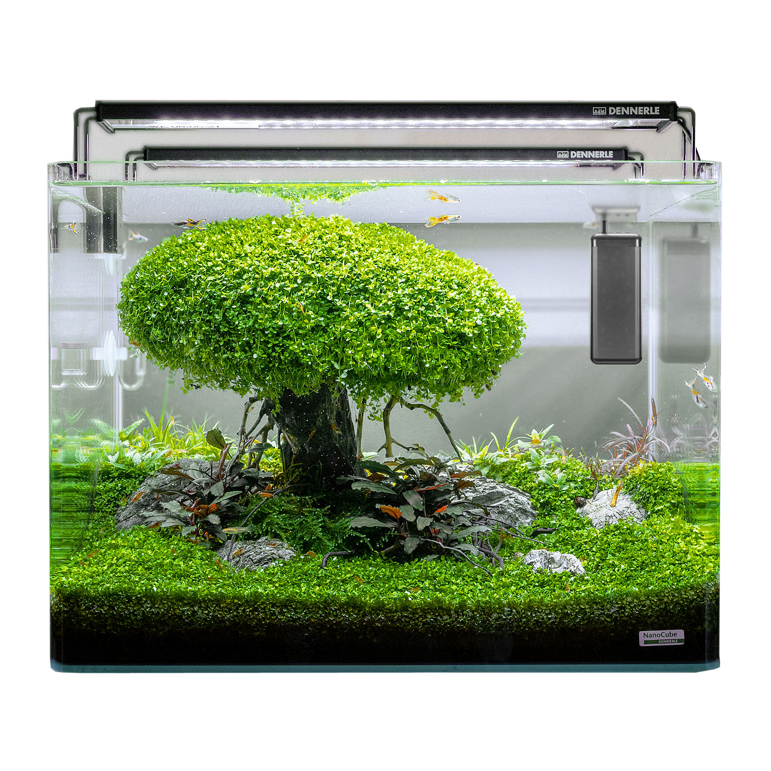 Dennerle Heater Constant, 75 W / 55-75L