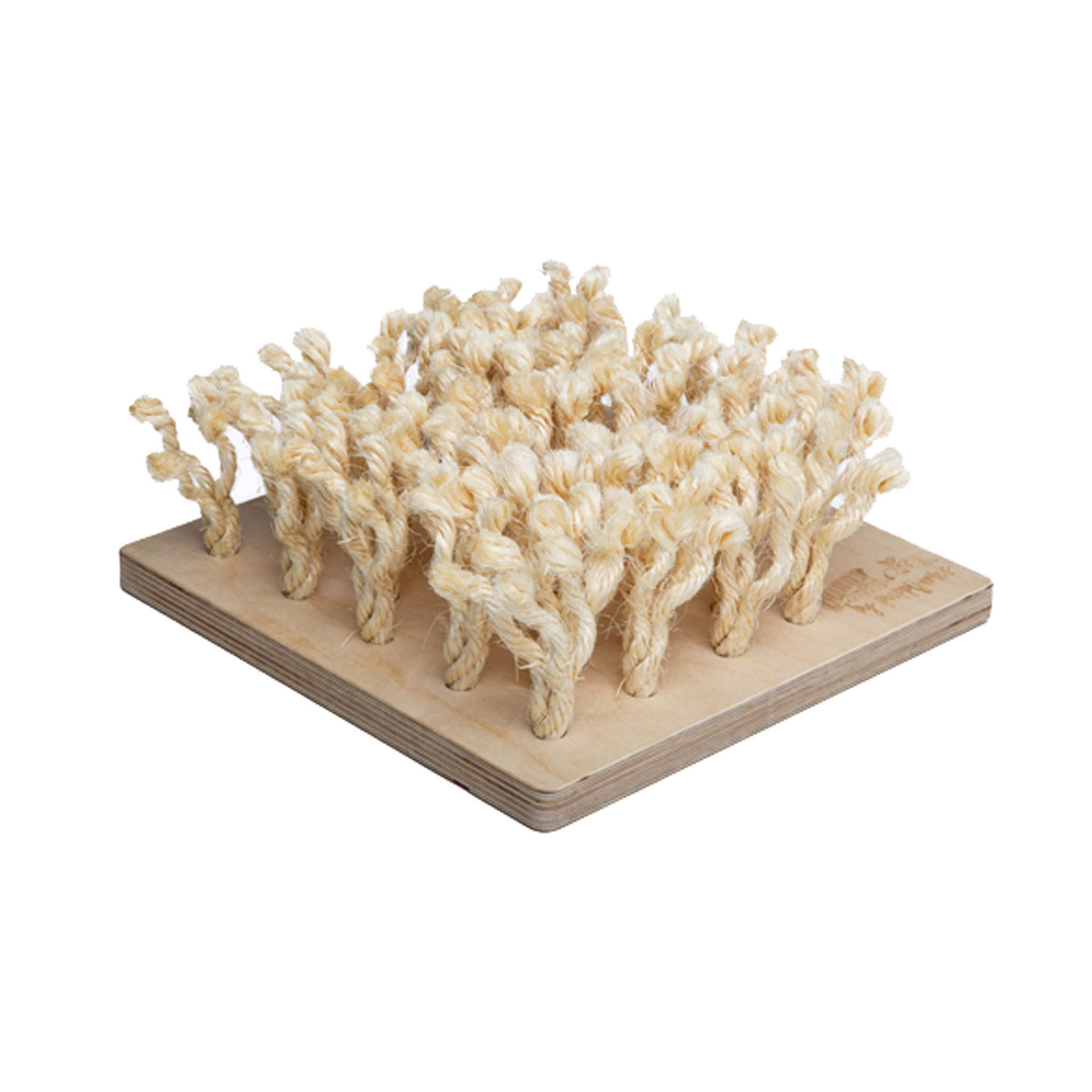 Bunny Schnüffelbrett