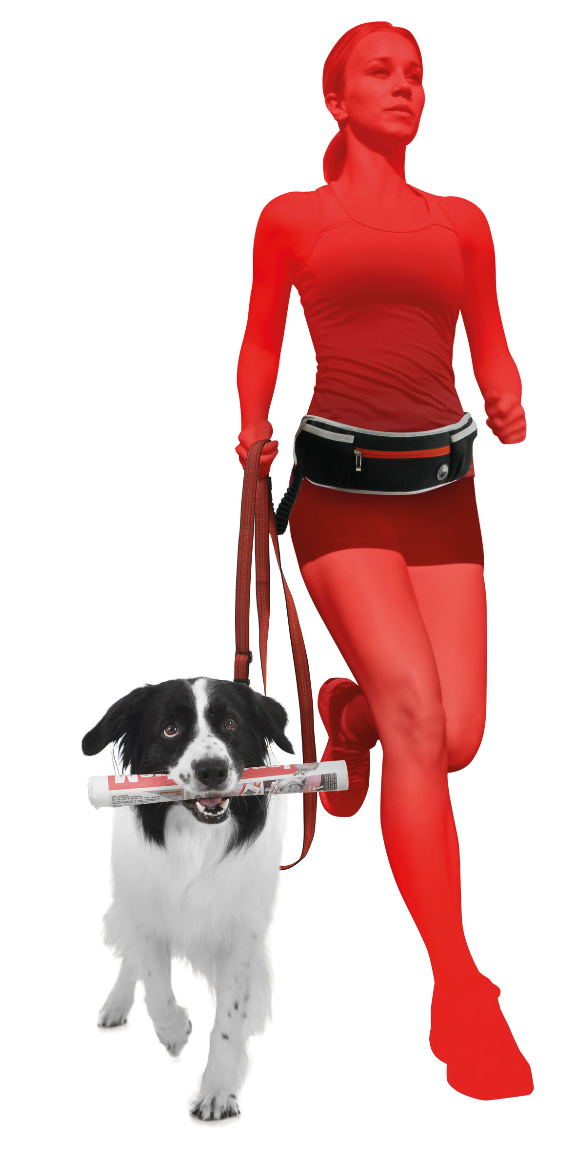 swisspet Jogging-Leinen-Set Speedo