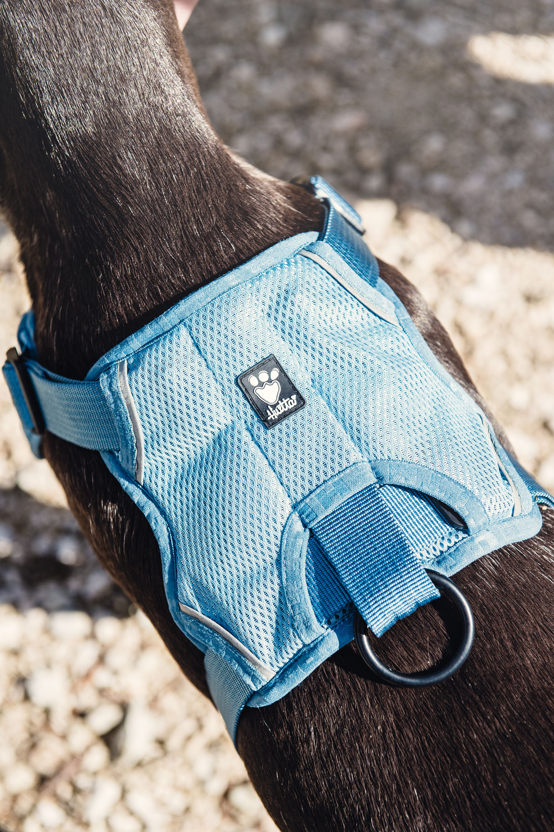 Hurtta Kühlgeschirr, blau L