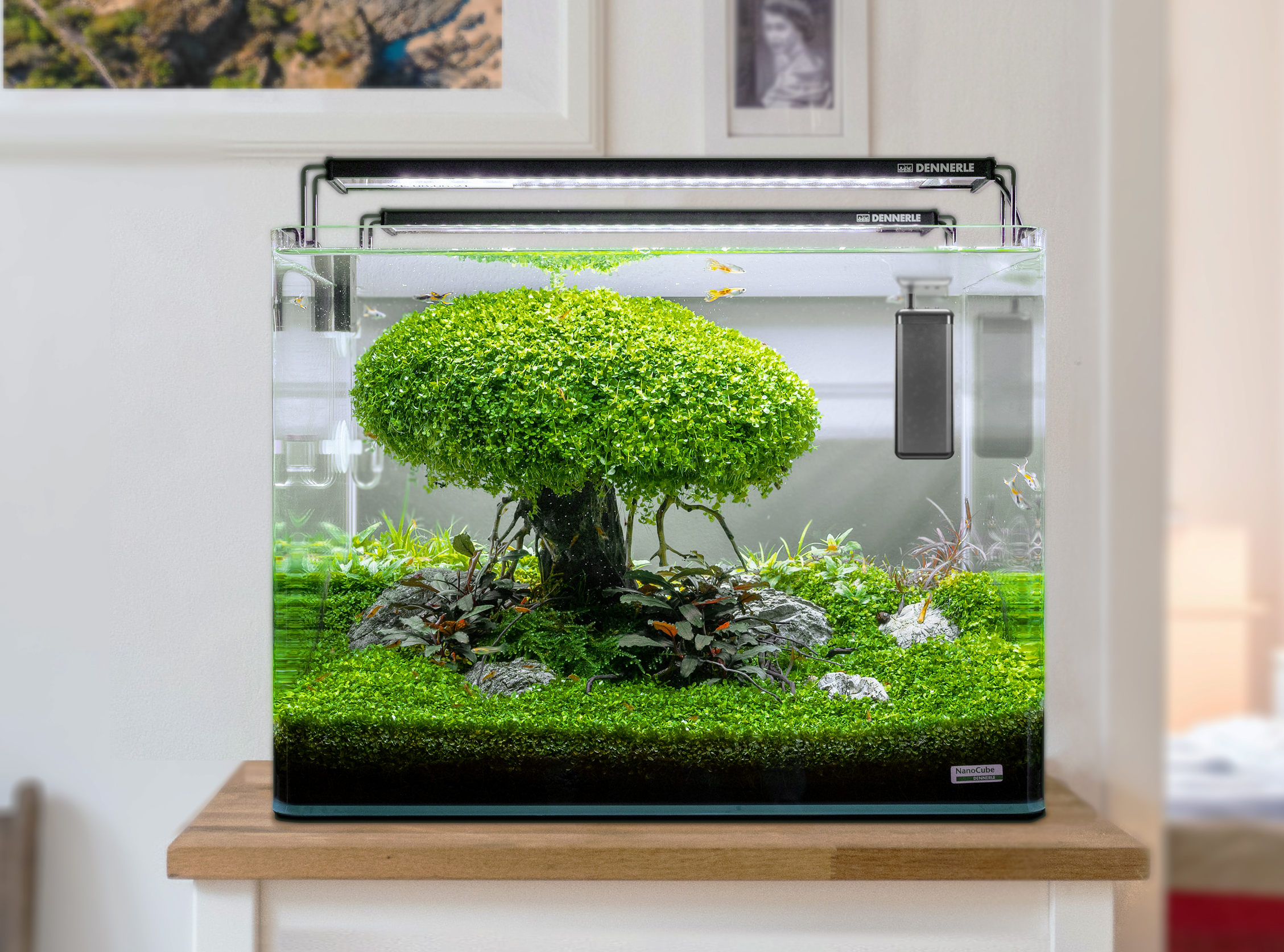 Dennerle Heater Constant, 35 W / 10-35L