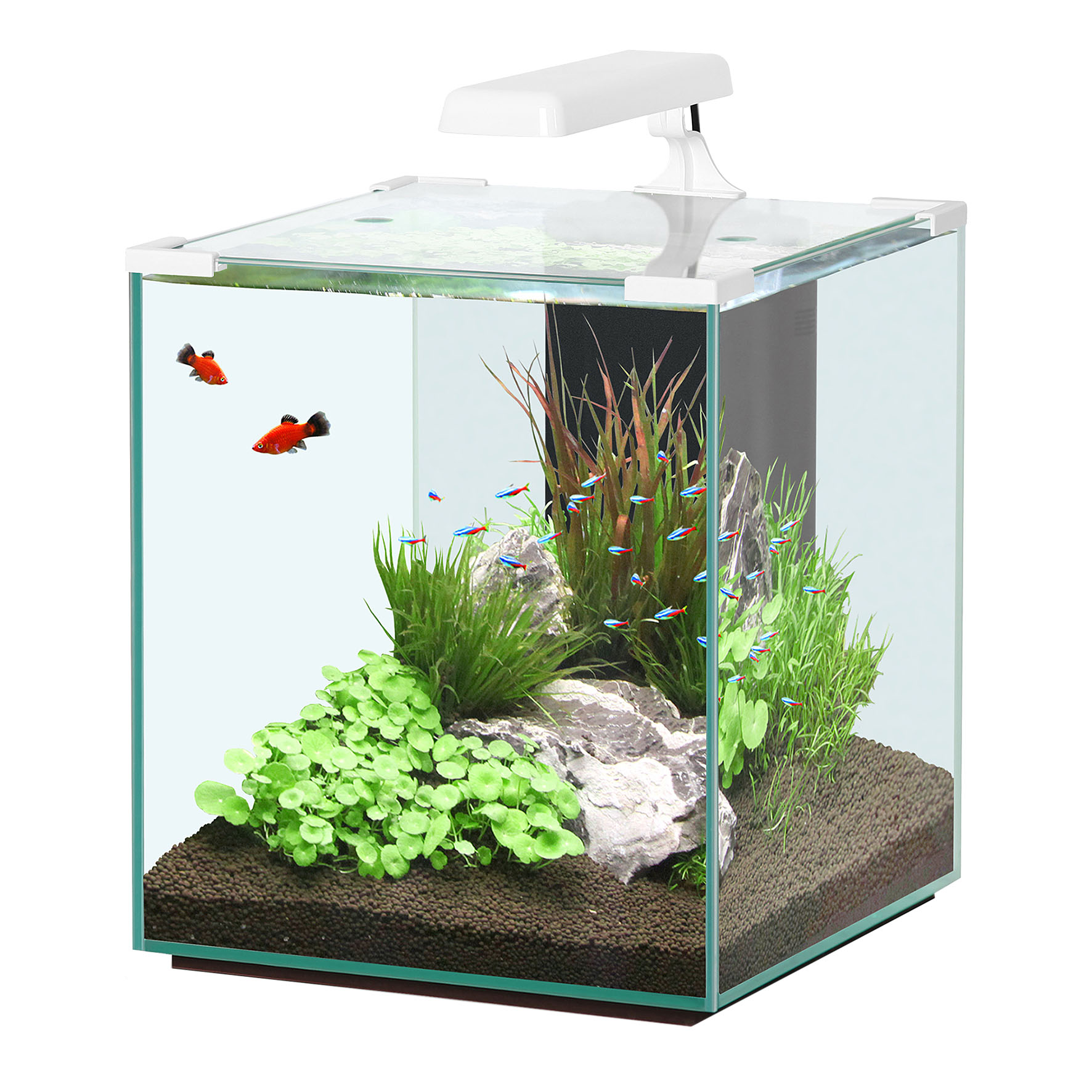Aquatlantis Nano Cubic 40 Aquarium LED Weiss