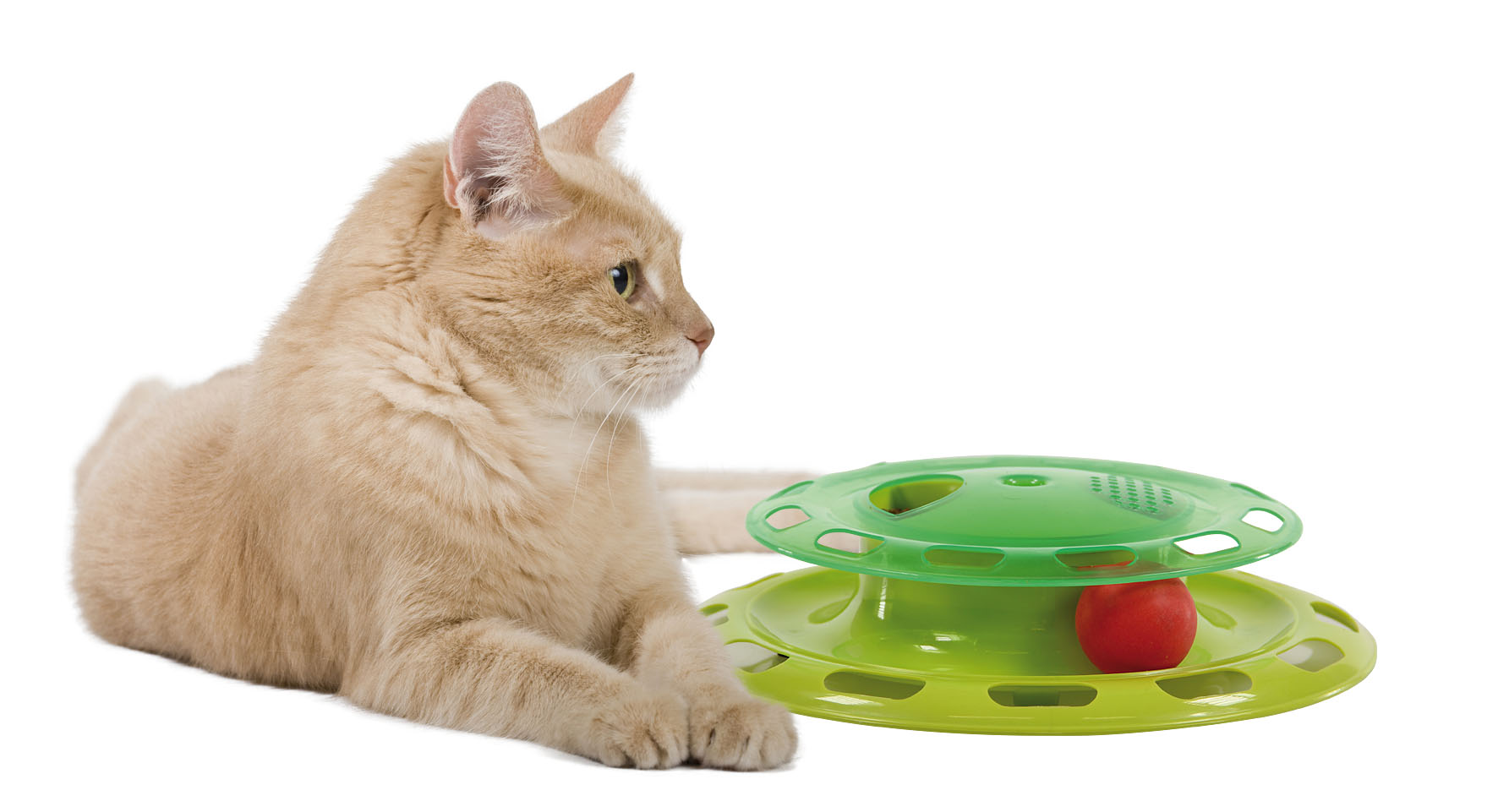 swisspet Turntable 2in1