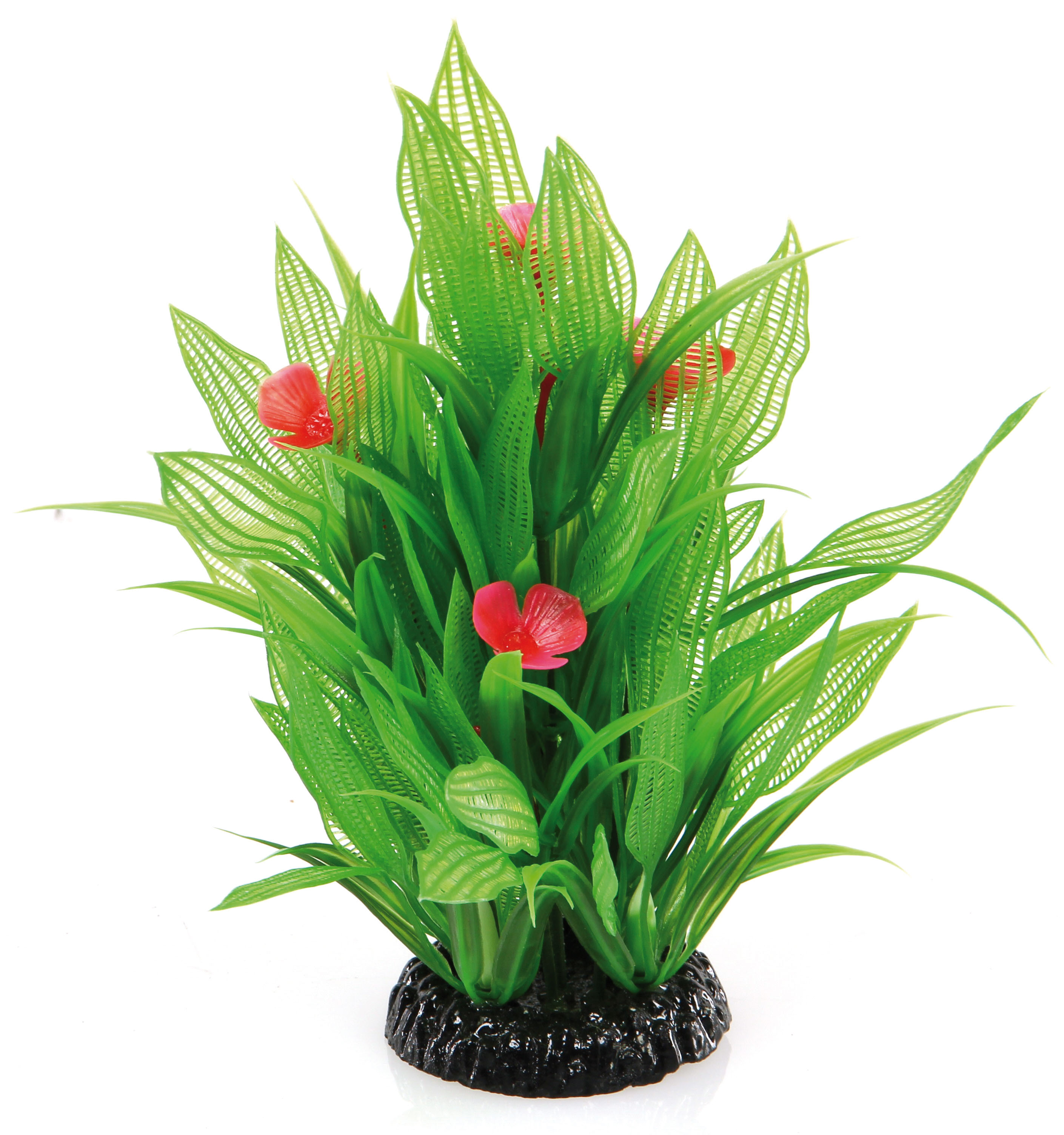 Amazonas Fantasy Plant QL verte