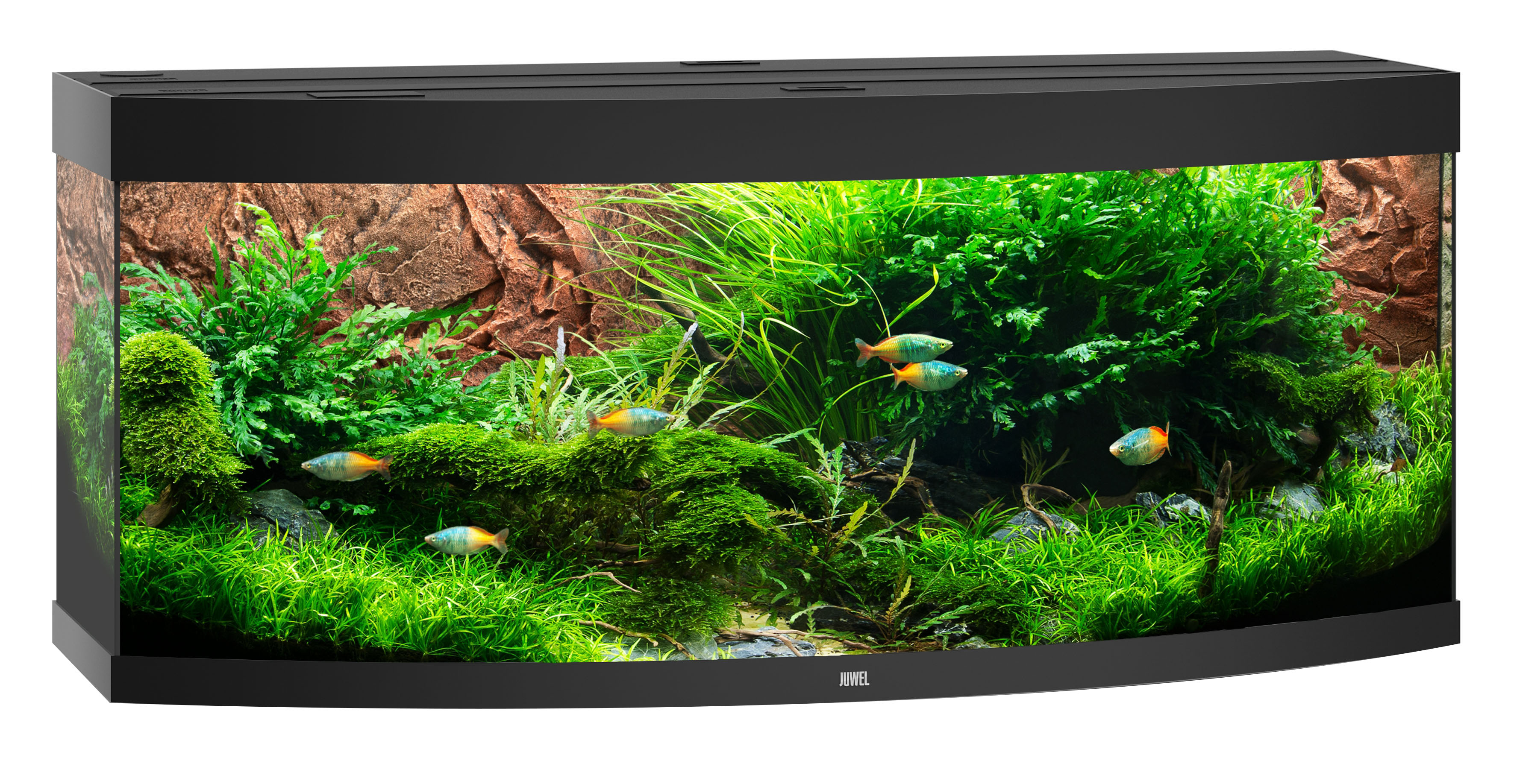 Juwel Aquarium Vision 450