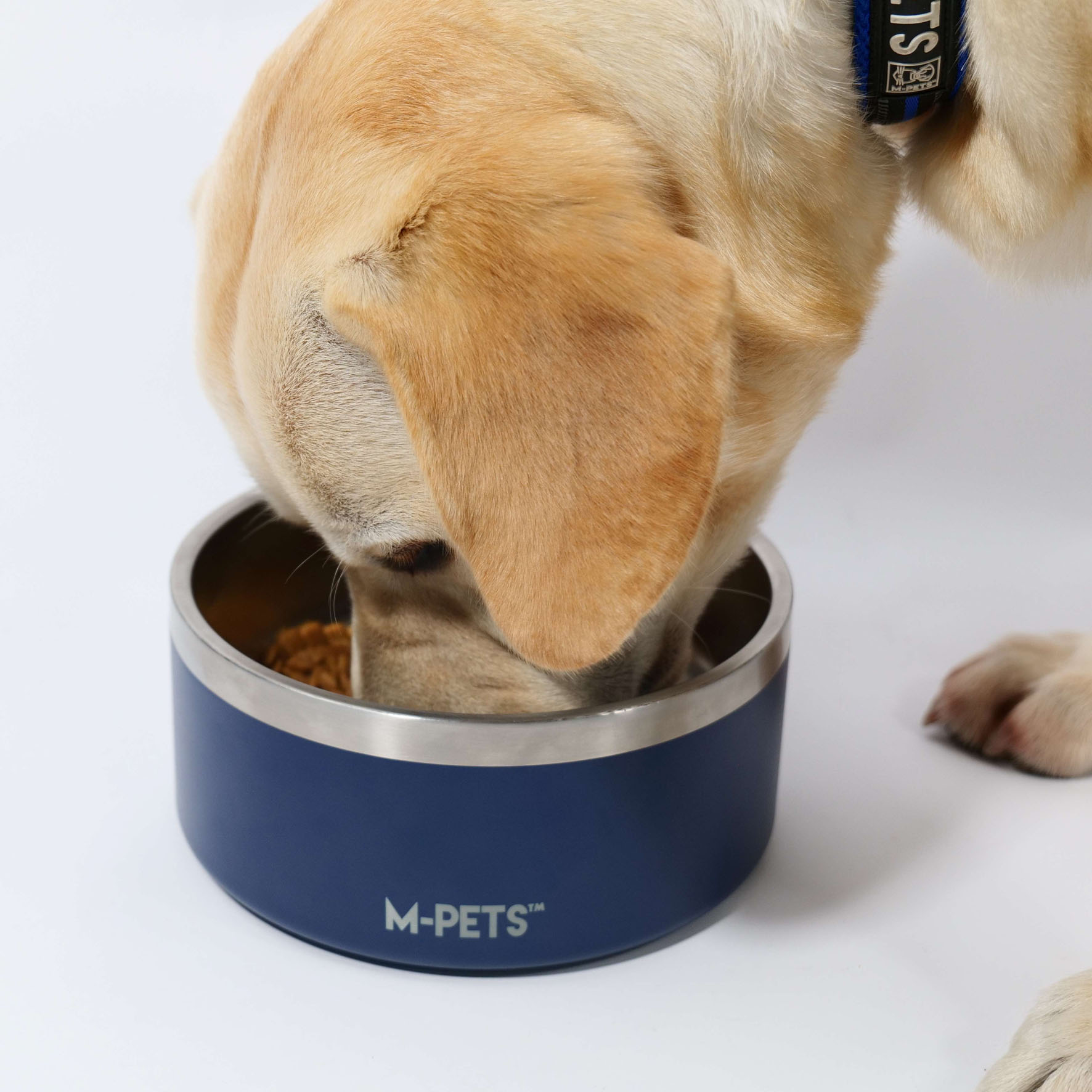 M-Pets Napf 2L, M, blau