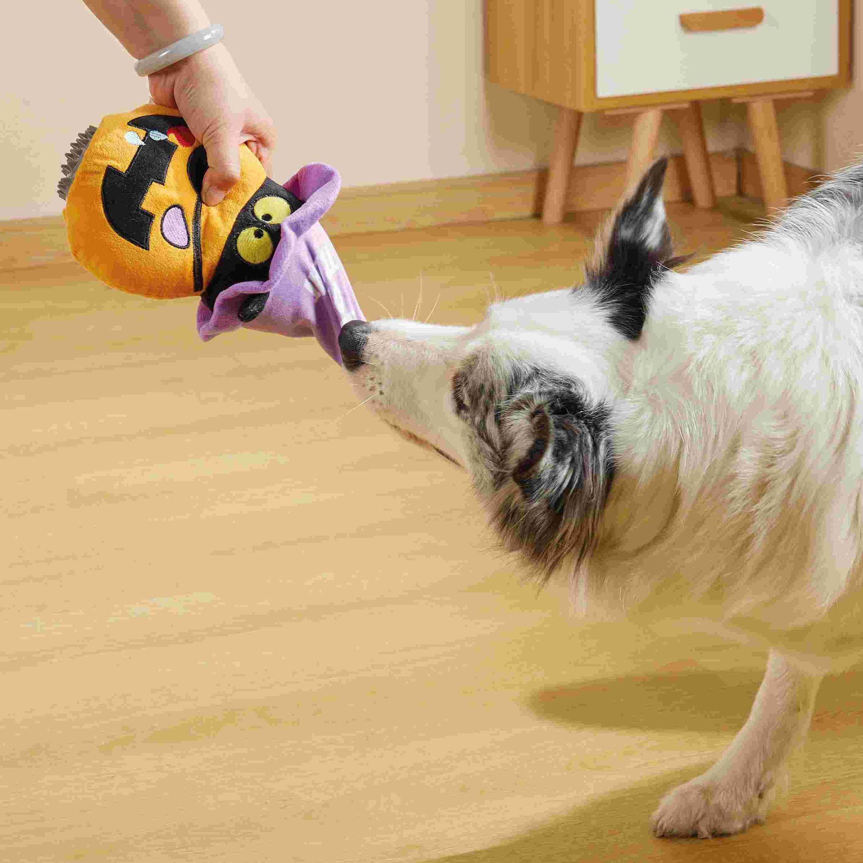 M-Pets Hundespielzeug KÜRBIS, 13 x 9 x 23,5 cm