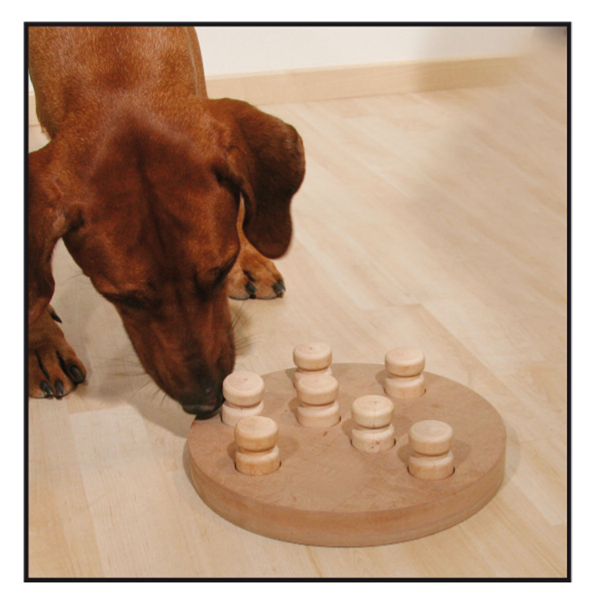 swisspet Hundespielzeug Doggy 2 in 1