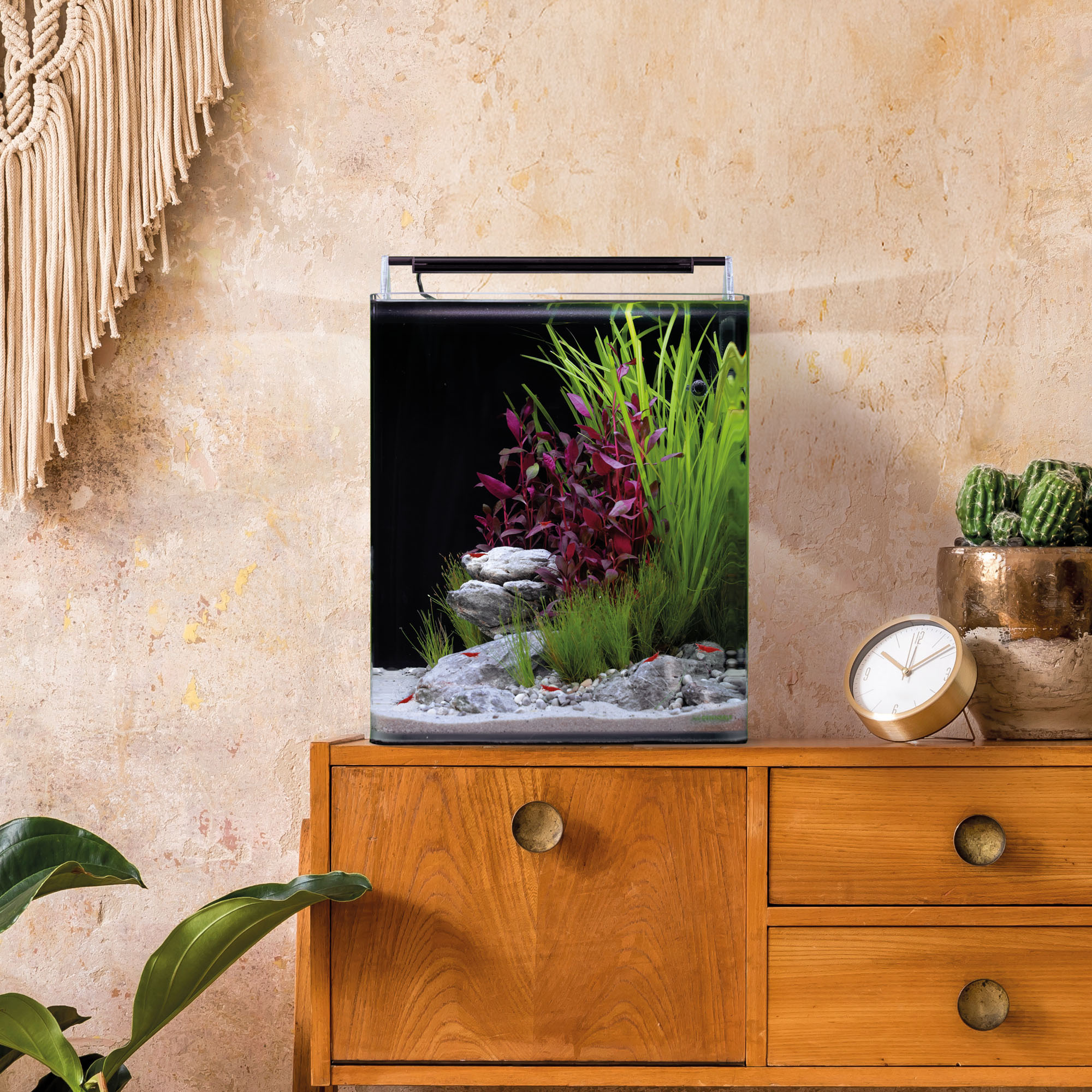 Dennerle Nano Cube Basic, 30L