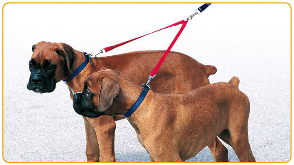 Laisse double raccord Twin assortie S=10mm/28cm