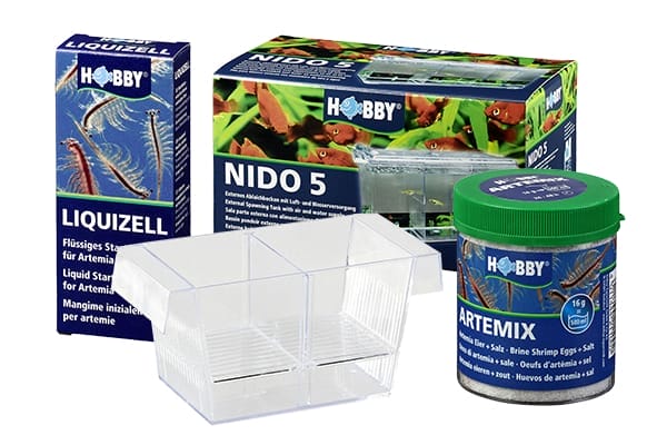 Artemia & Aufzucht