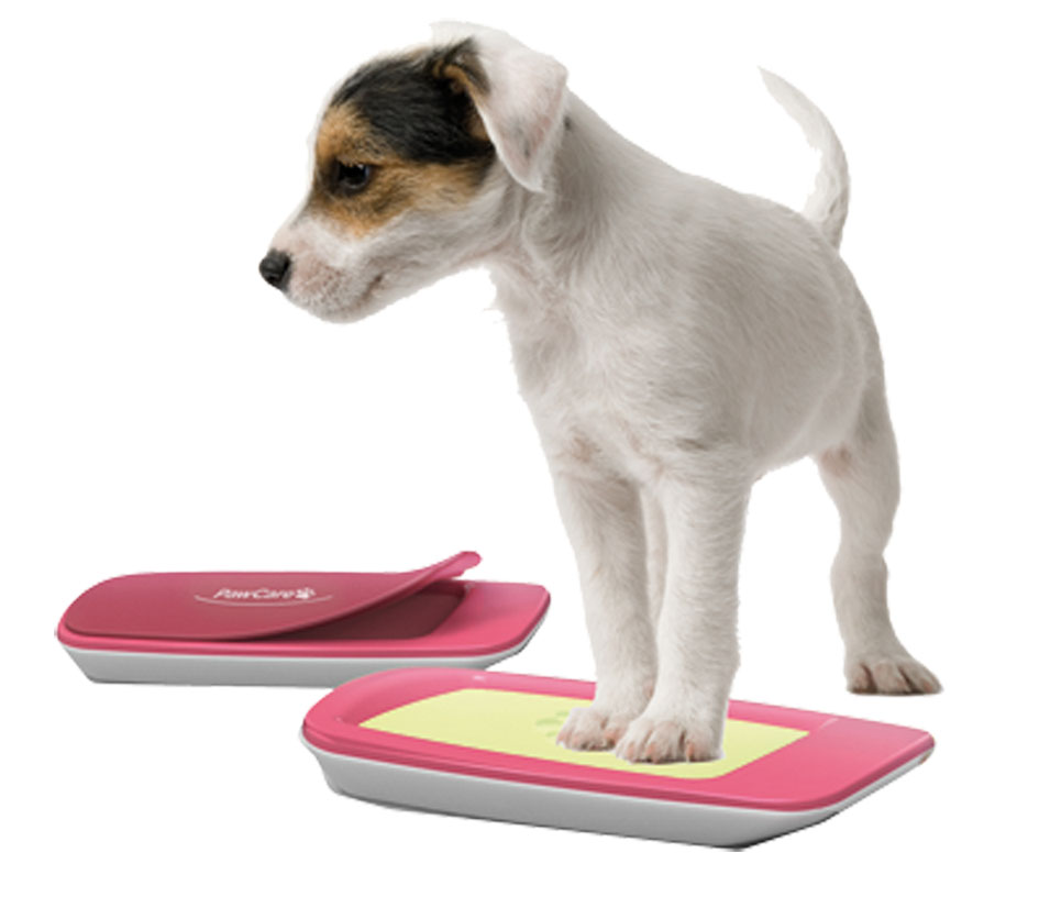 PawCare Small Container 185gr.