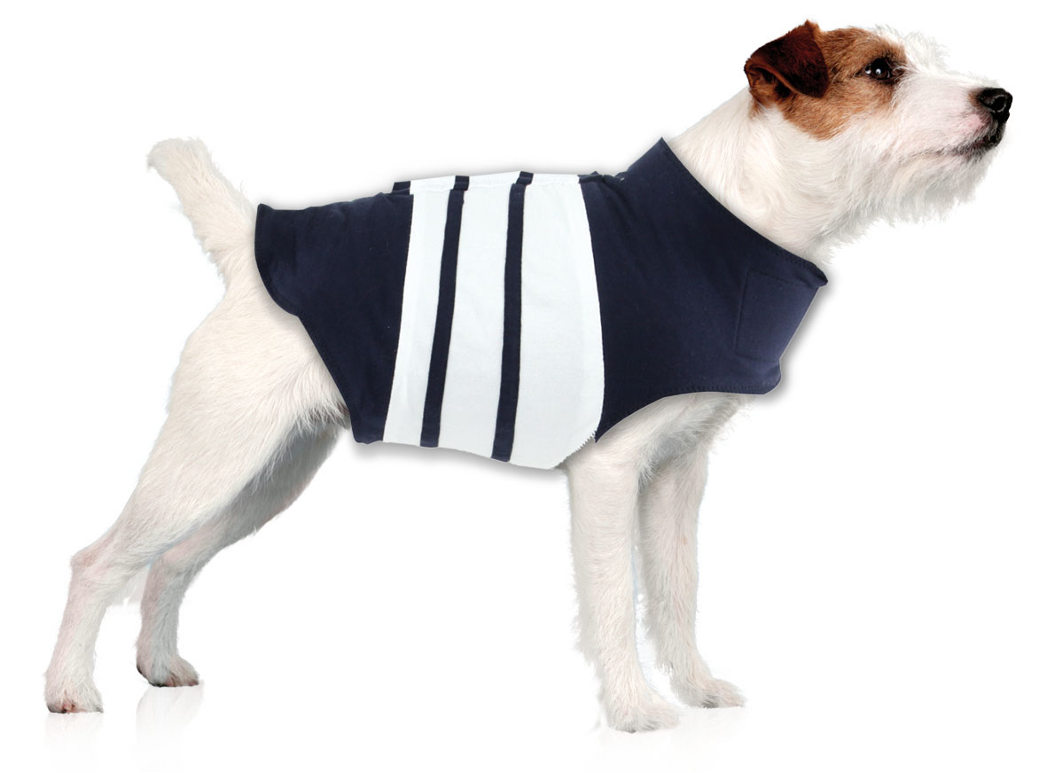 swisspet Hundeweste Dogychiller – gegen Stress