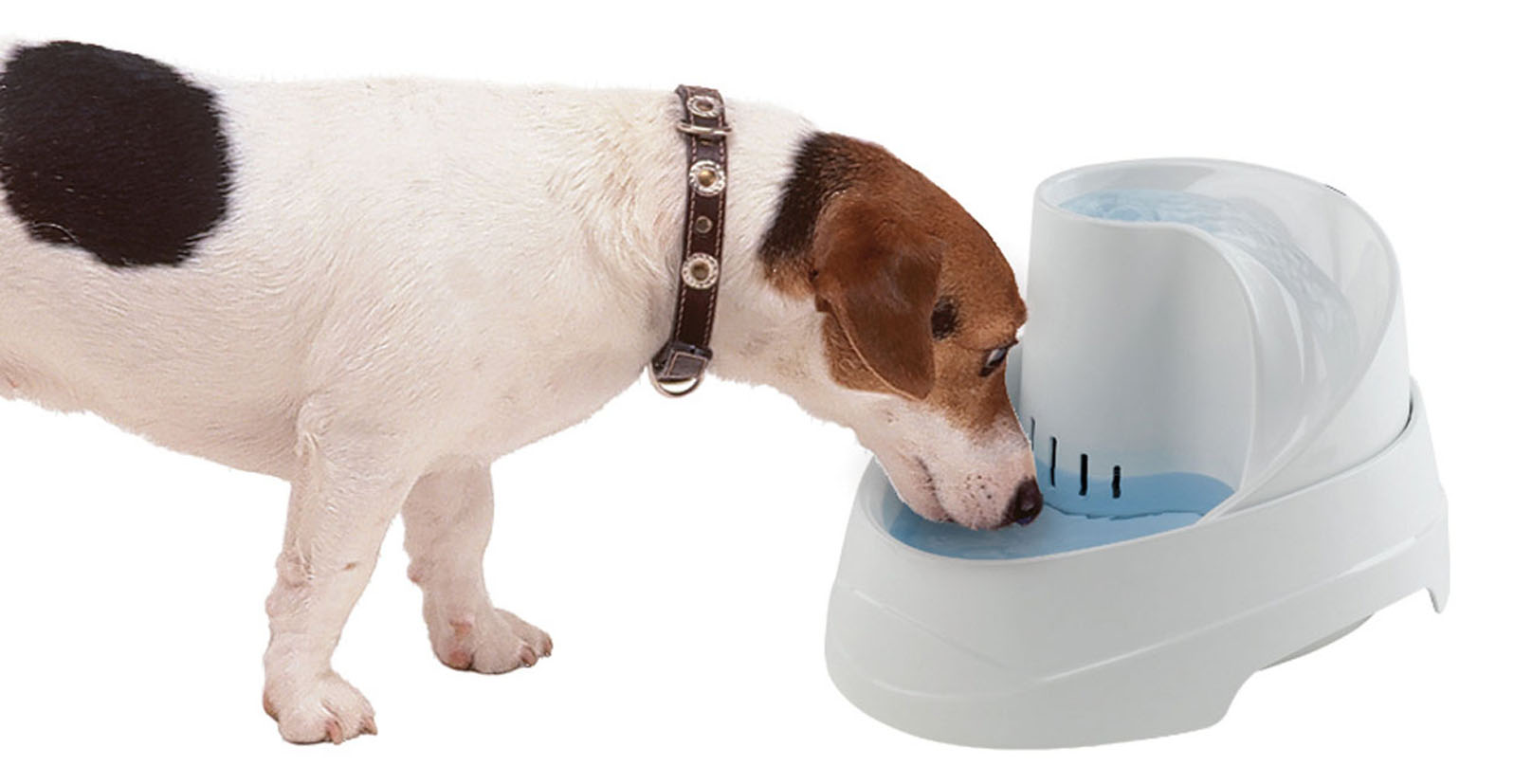 Ferplast fontaine à eau Vega