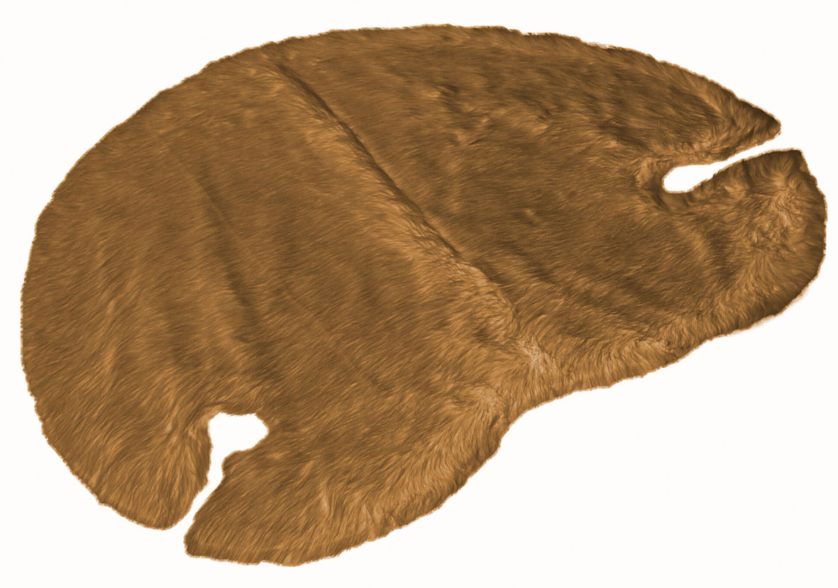 SP Living, Fell Niere 2-Loch, caramel