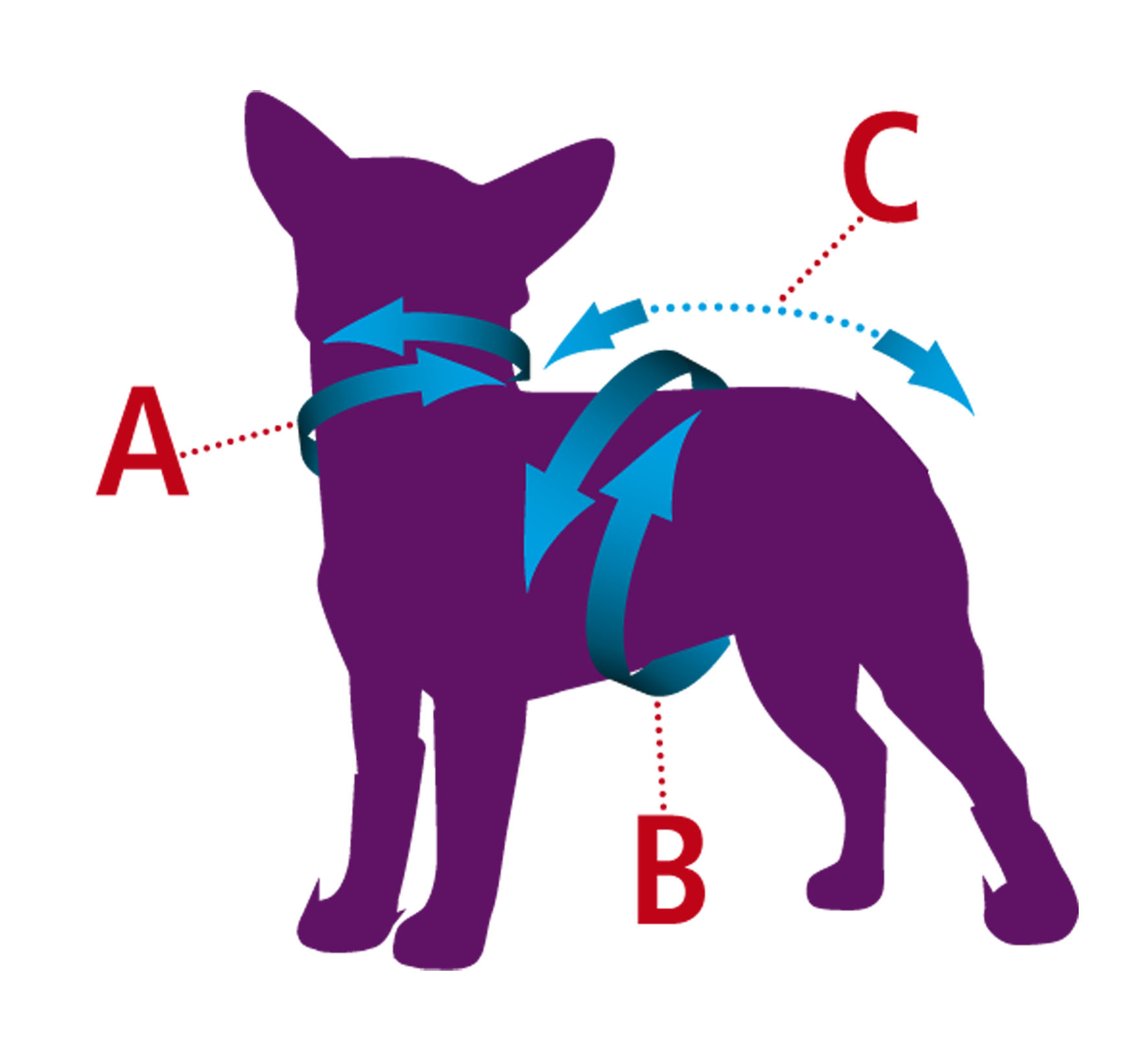 swisspet Hundebademäntel Wety XS
