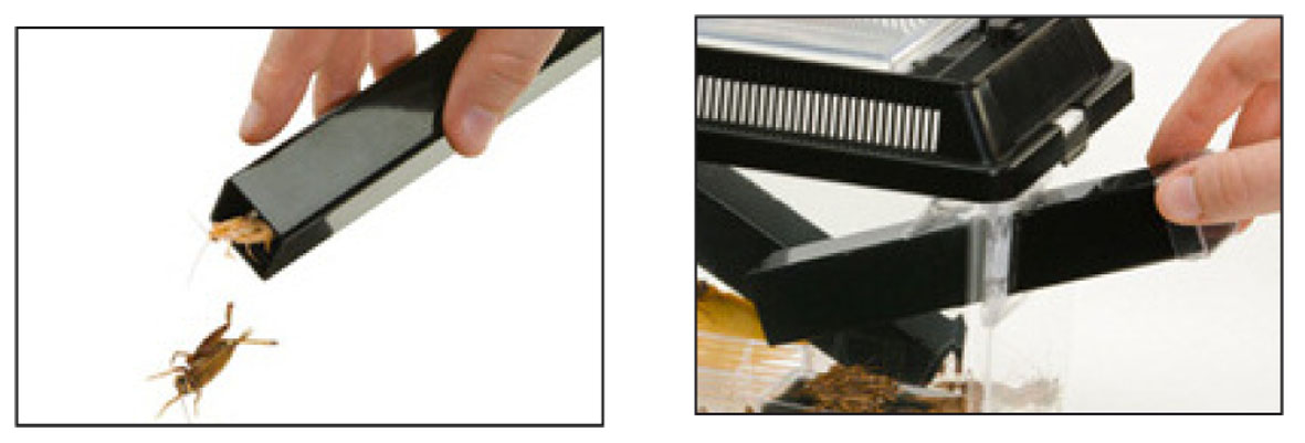 Exo Terra Cricket Pen - 30x20.5x19cm