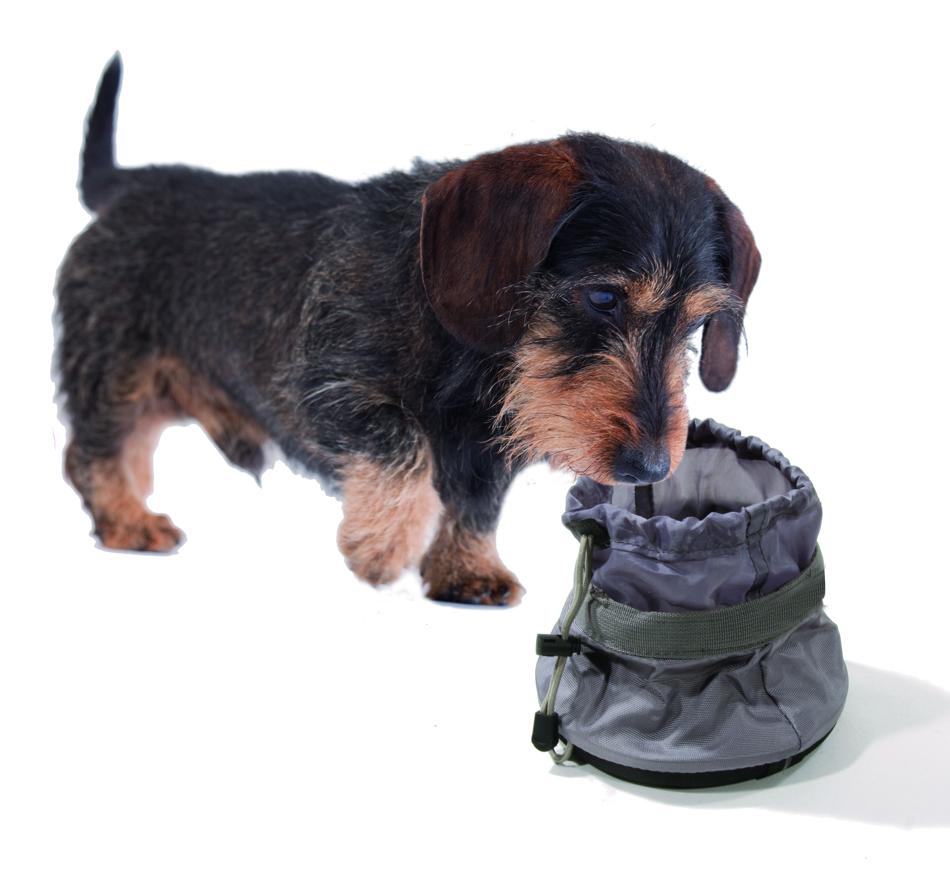 swisspet Reisenapf aus Segeltuch, grau