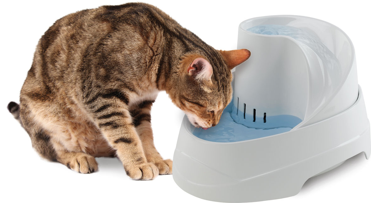 Ferplast fontaine à eau Vega