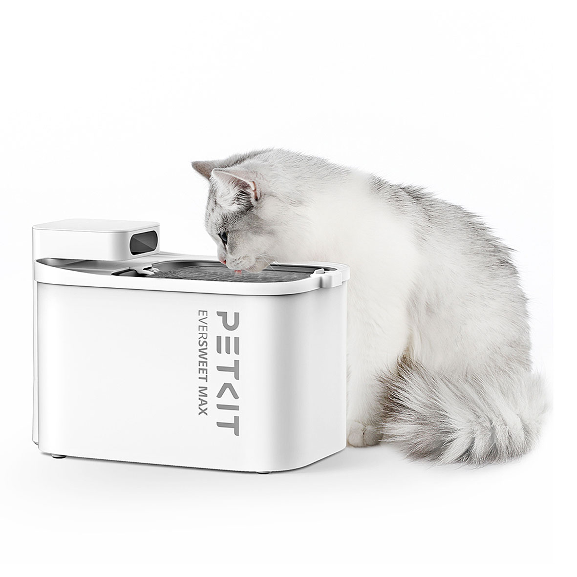 PETKIT EverSweet Max Fontaine à eau pour animaux domestiques