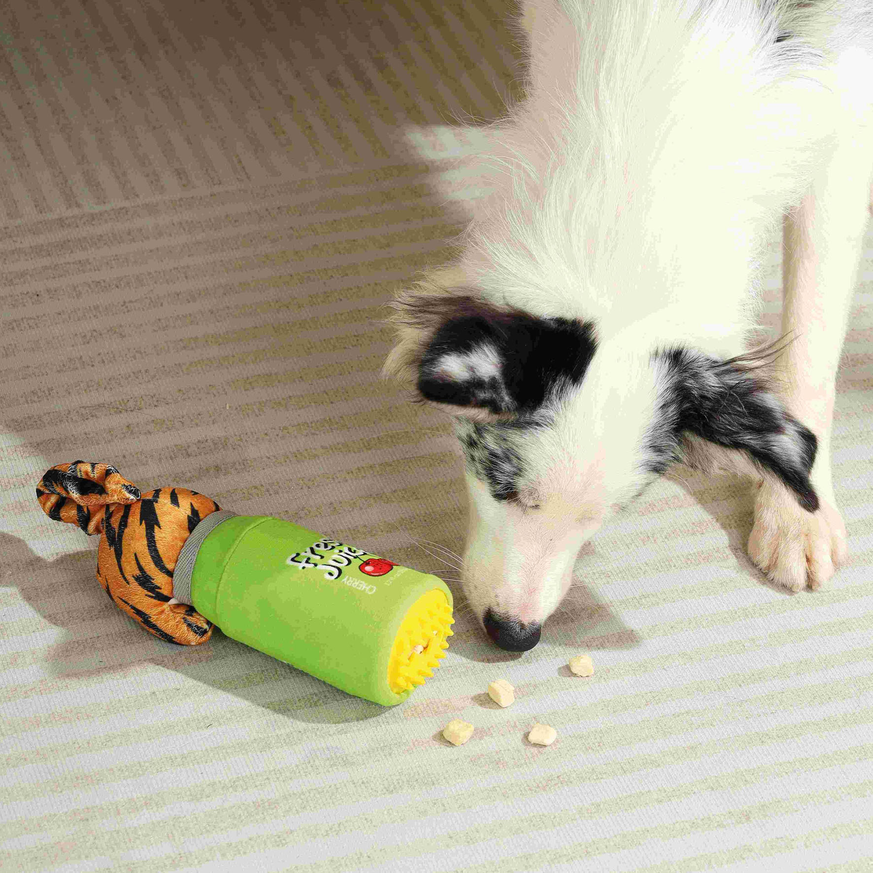 M-Pets Hundespielzeug Ozzy, Orange & Grün, 10,5 x 9,5 x 22 cm